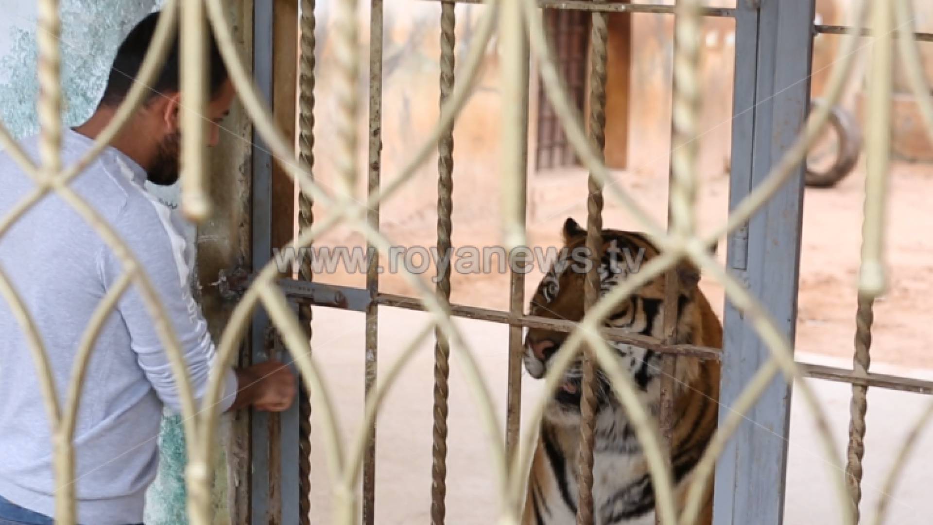 كورونا وحظر التجول يهددان حياة الحيوانات في الحدائق