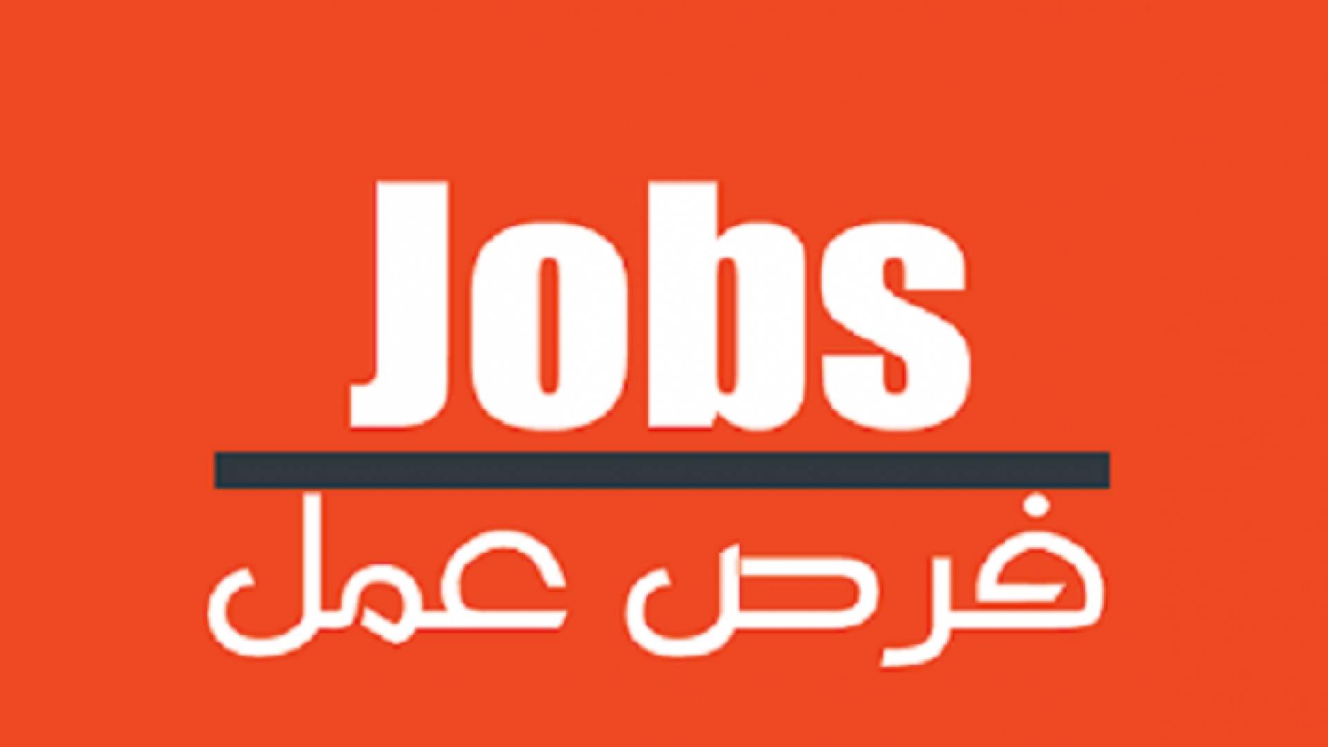 يهدف المشروع إلى ايجاد فرص عمل جديدة للشباب في السنوات المقبلة