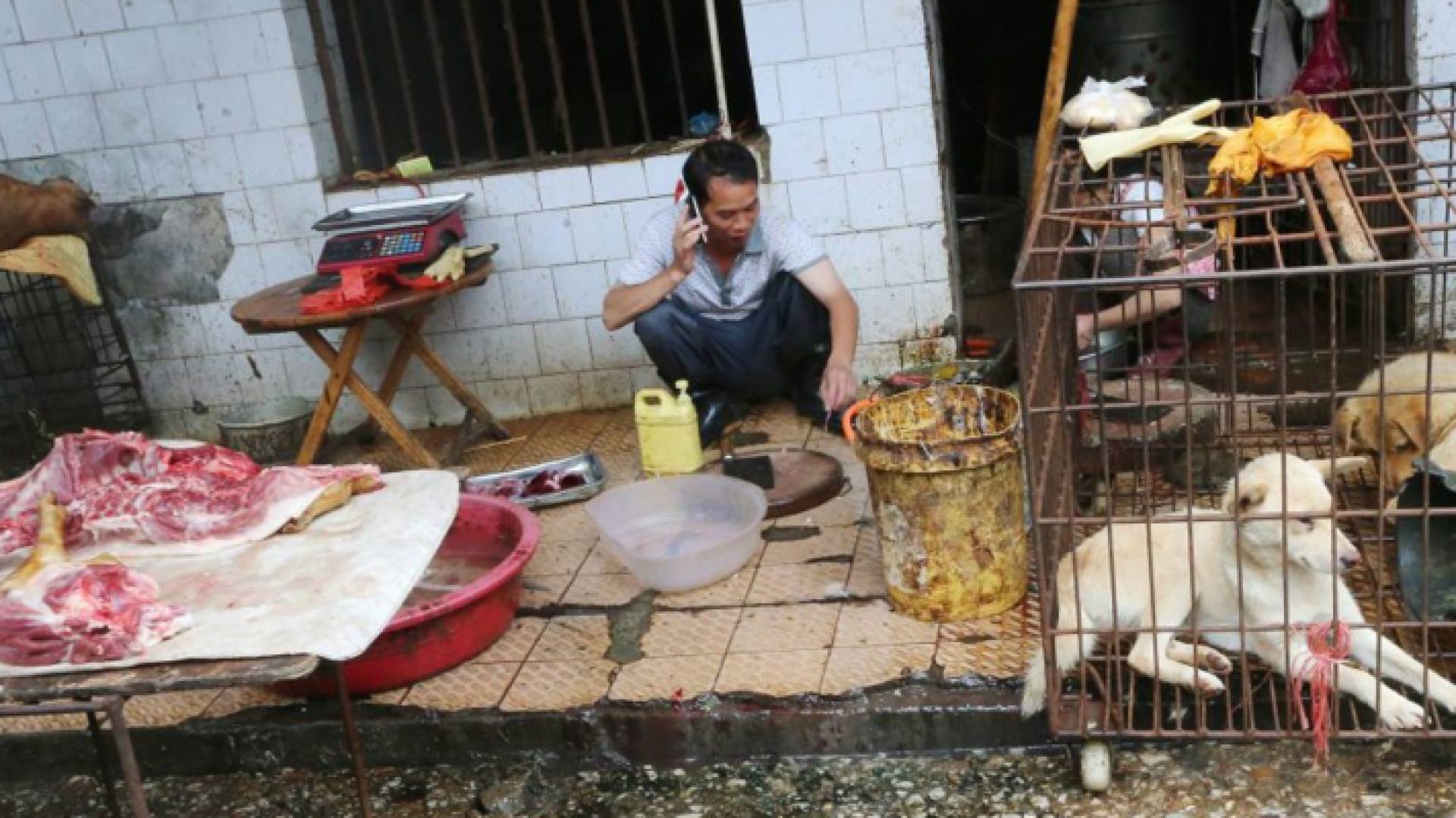 الصورة أرشيفية