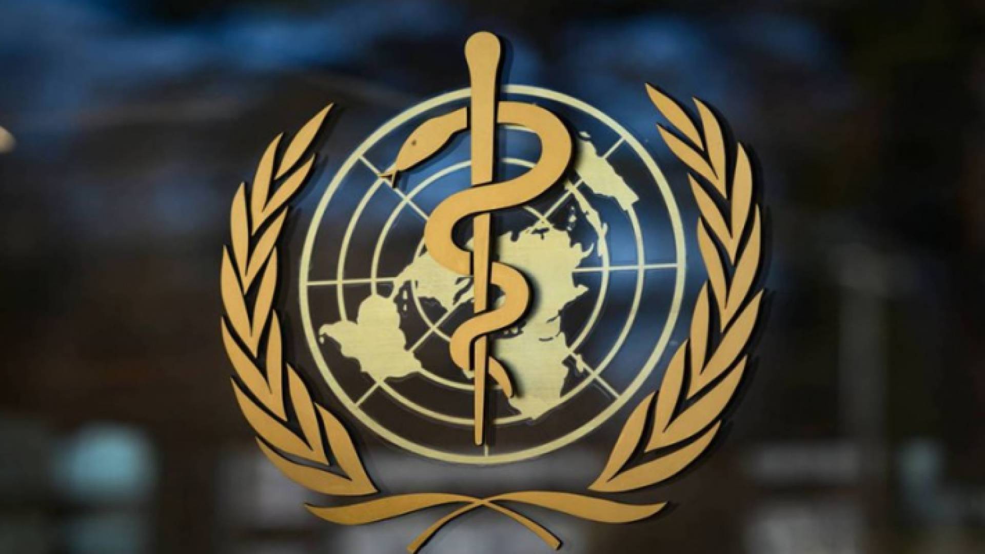 منظمة الصحة العالمية