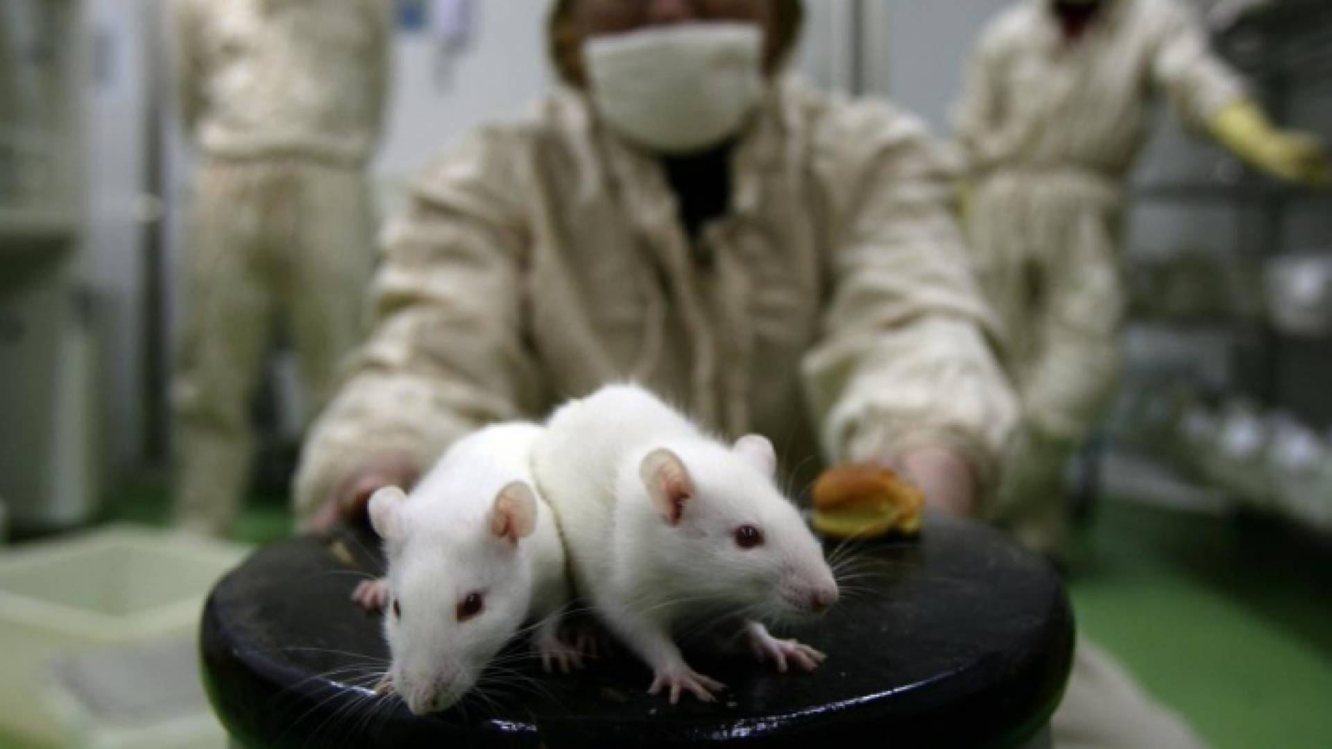 الصورة أرشيفية