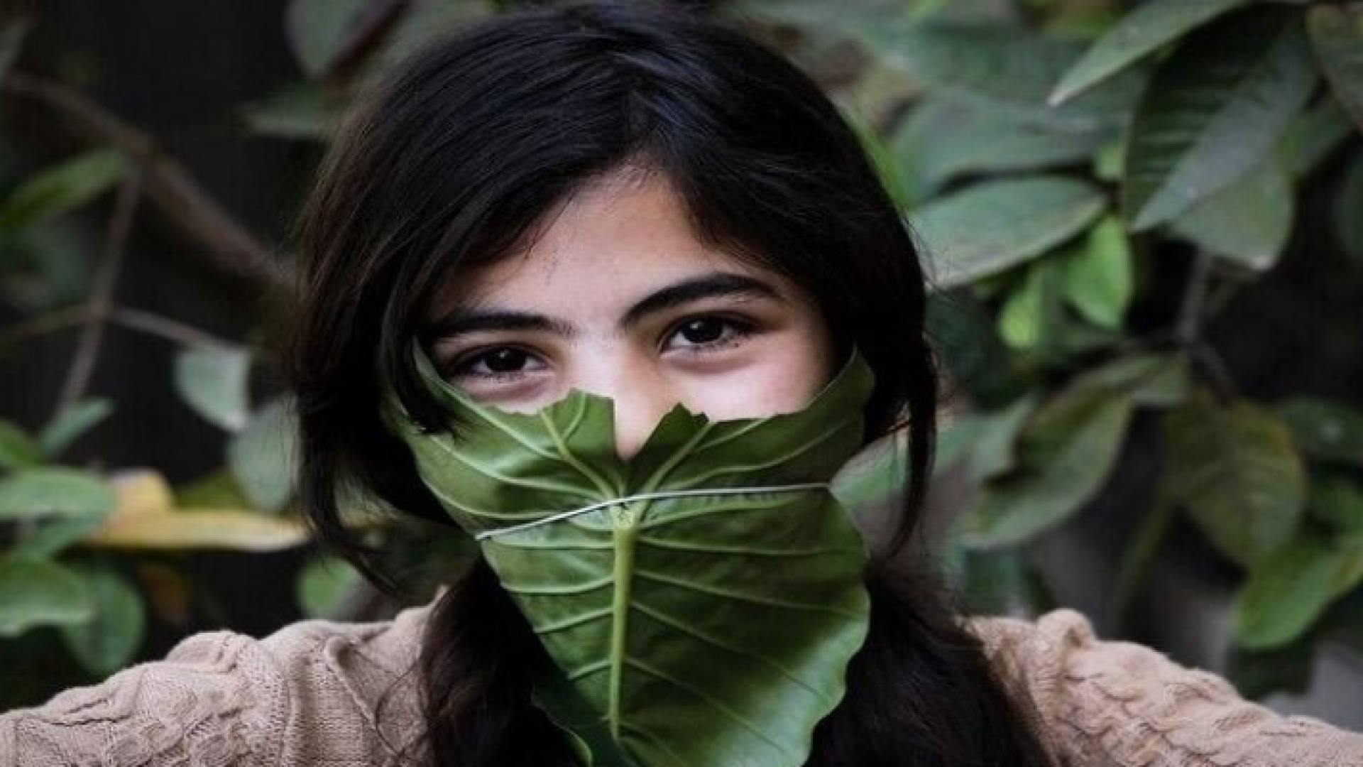 اختاروا ورقة الملفوف