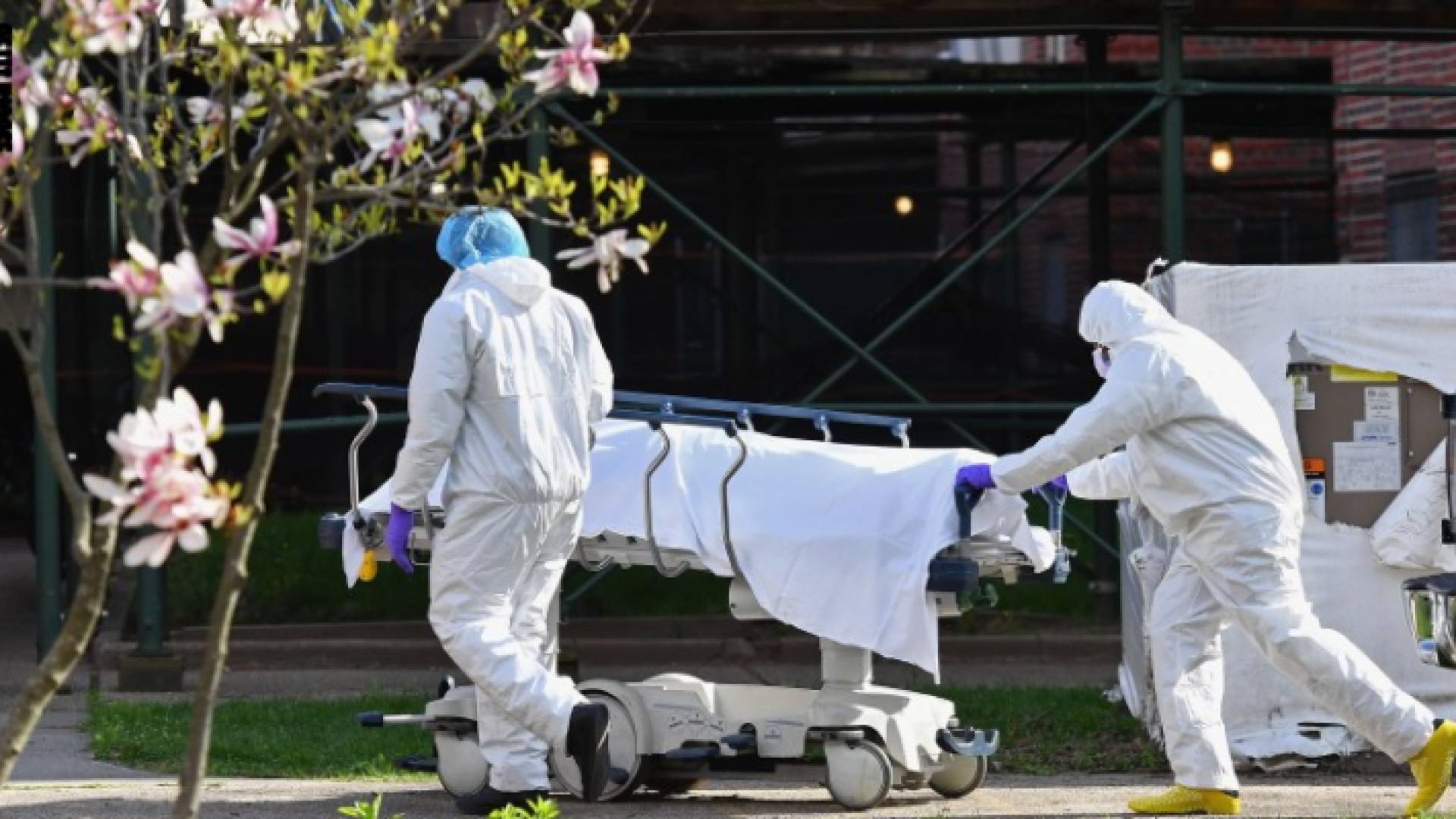 يرتفع بذلك عدد الوفيات الإجمالي في البلاد السبت إلى 38664