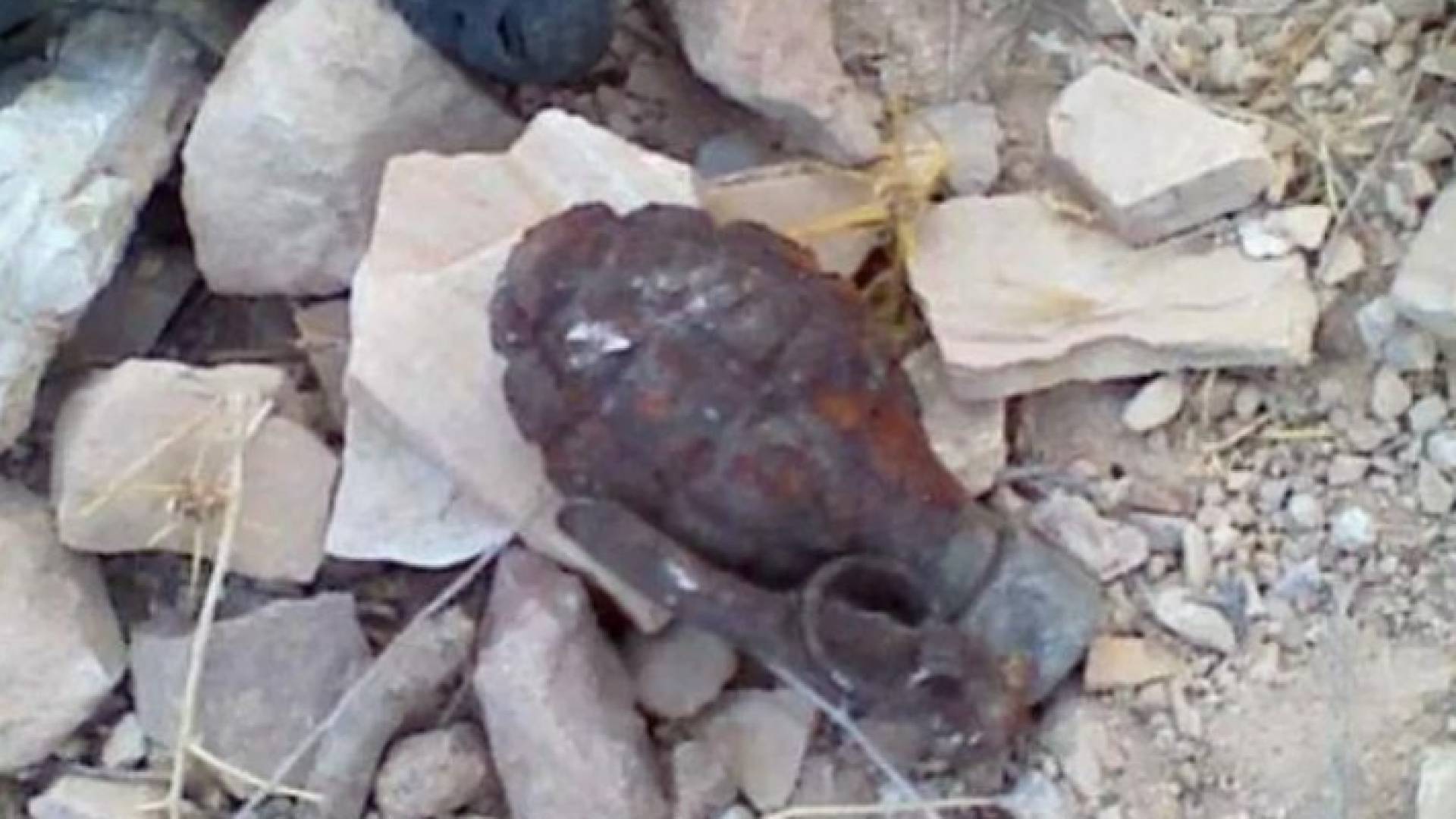 ارشيفية