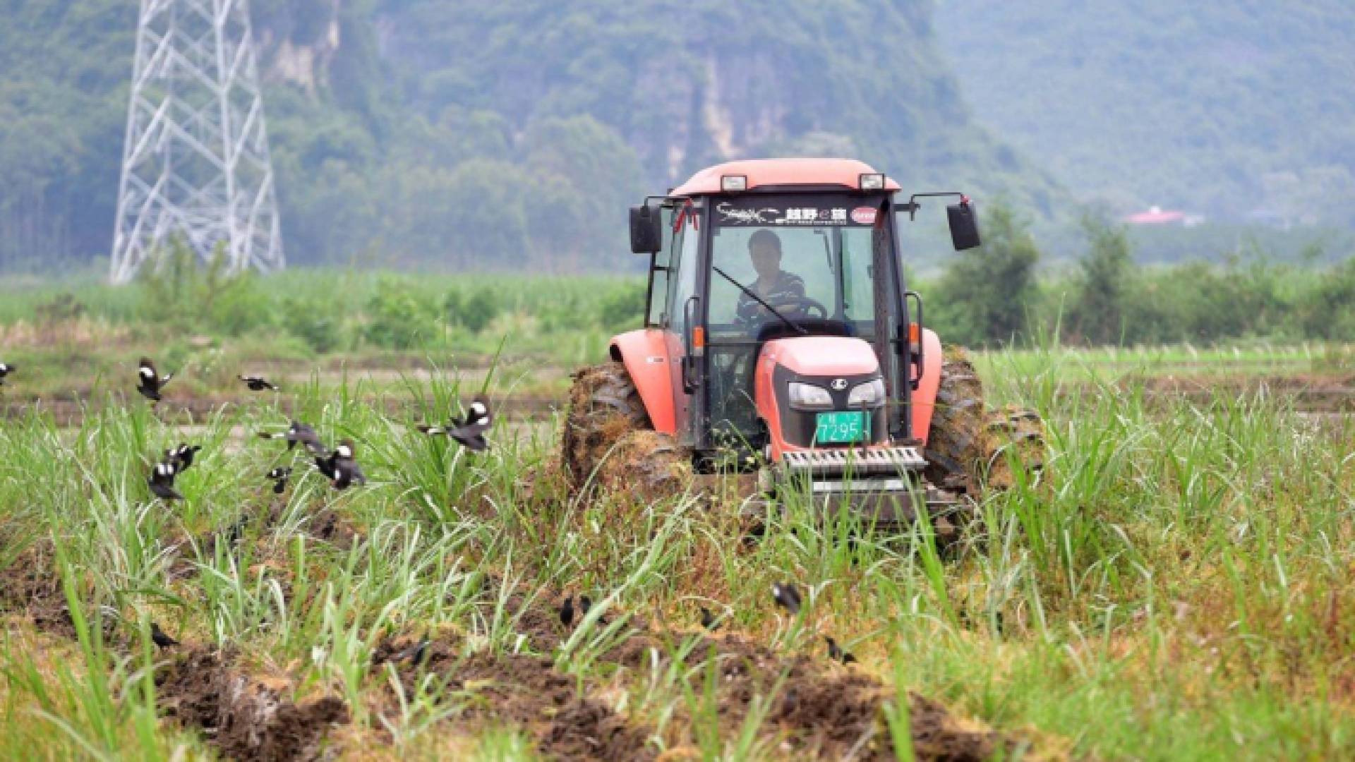 الصورة أرشيفية