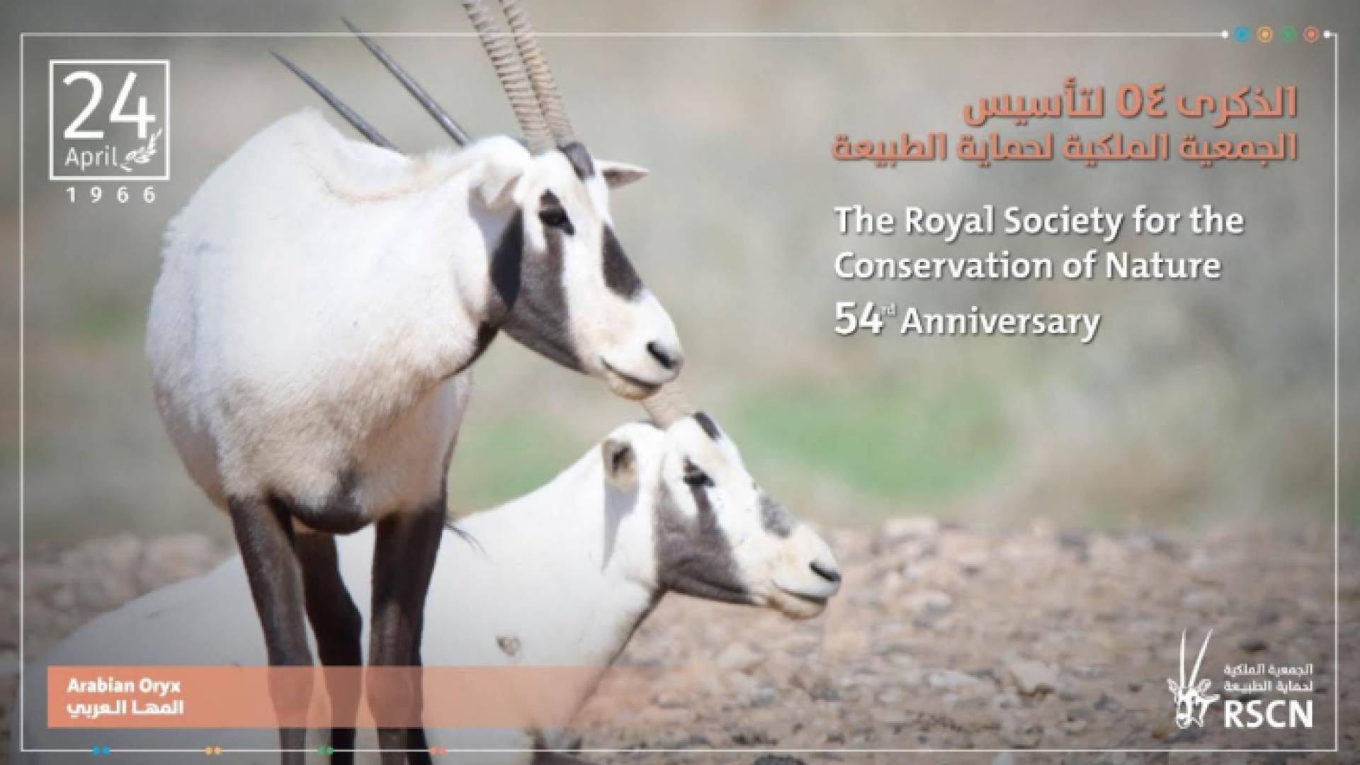 الجمعية الملكية لحماية الطبيعة