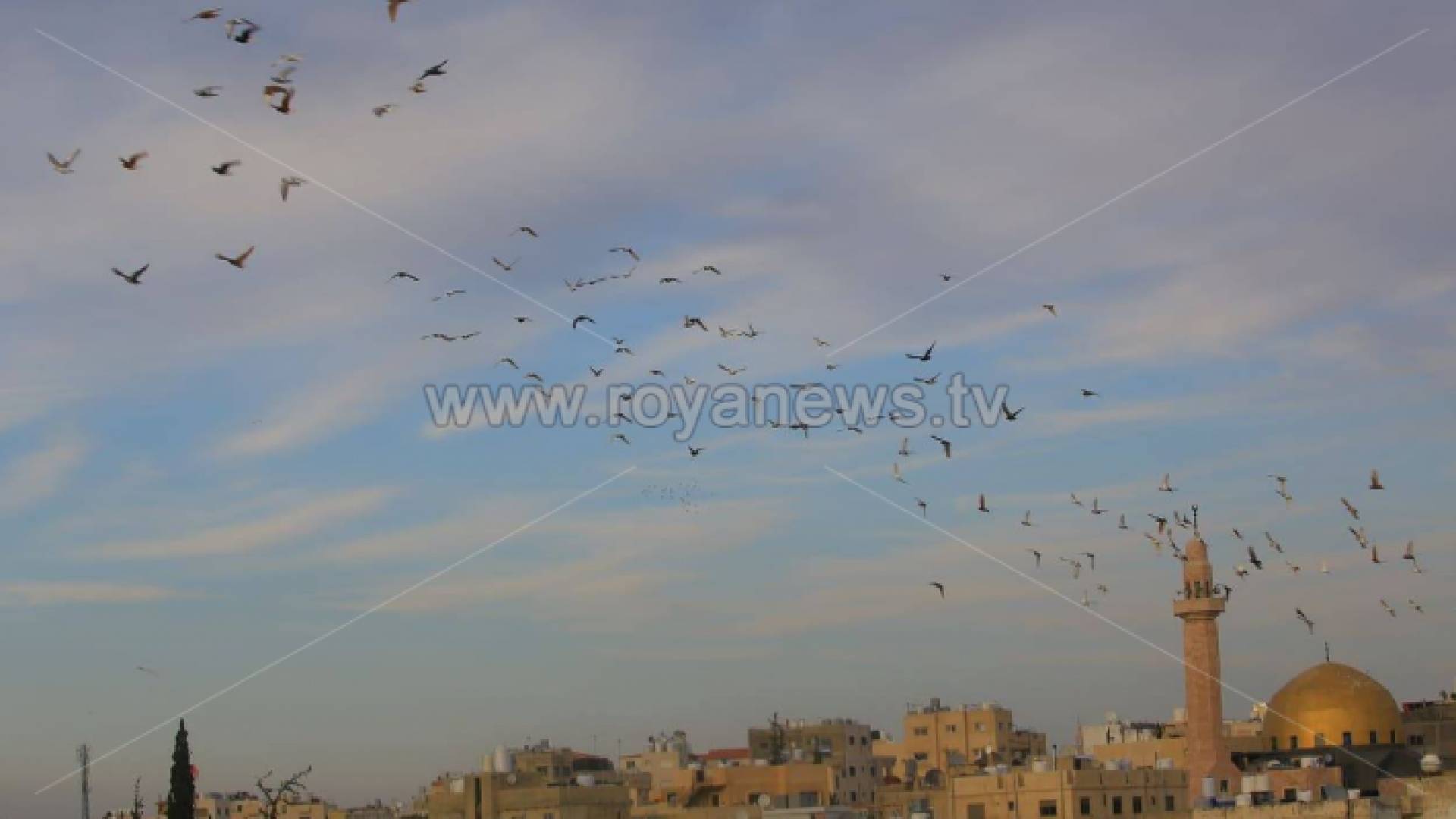 صورة من العاصمة عمان