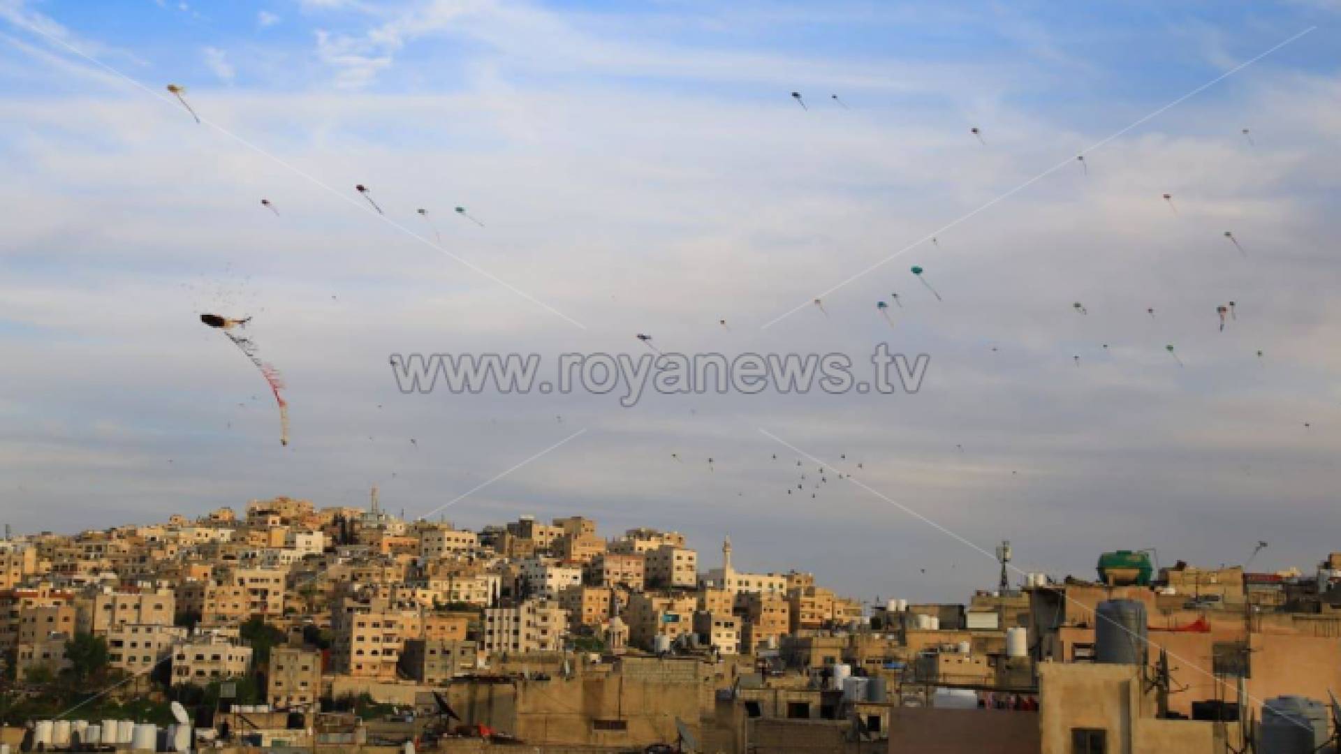ارشيفية