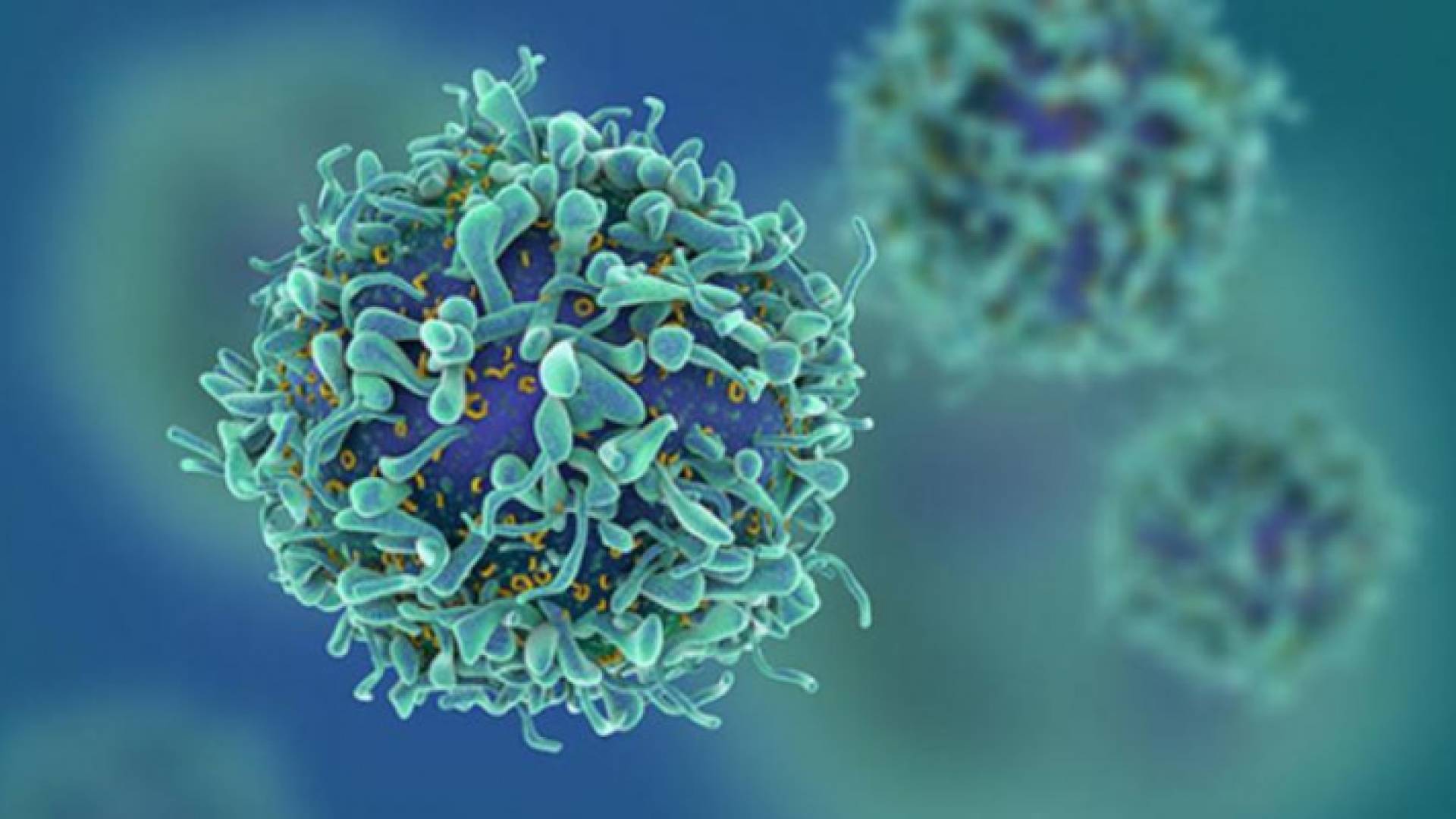 الخلايا السرطانية