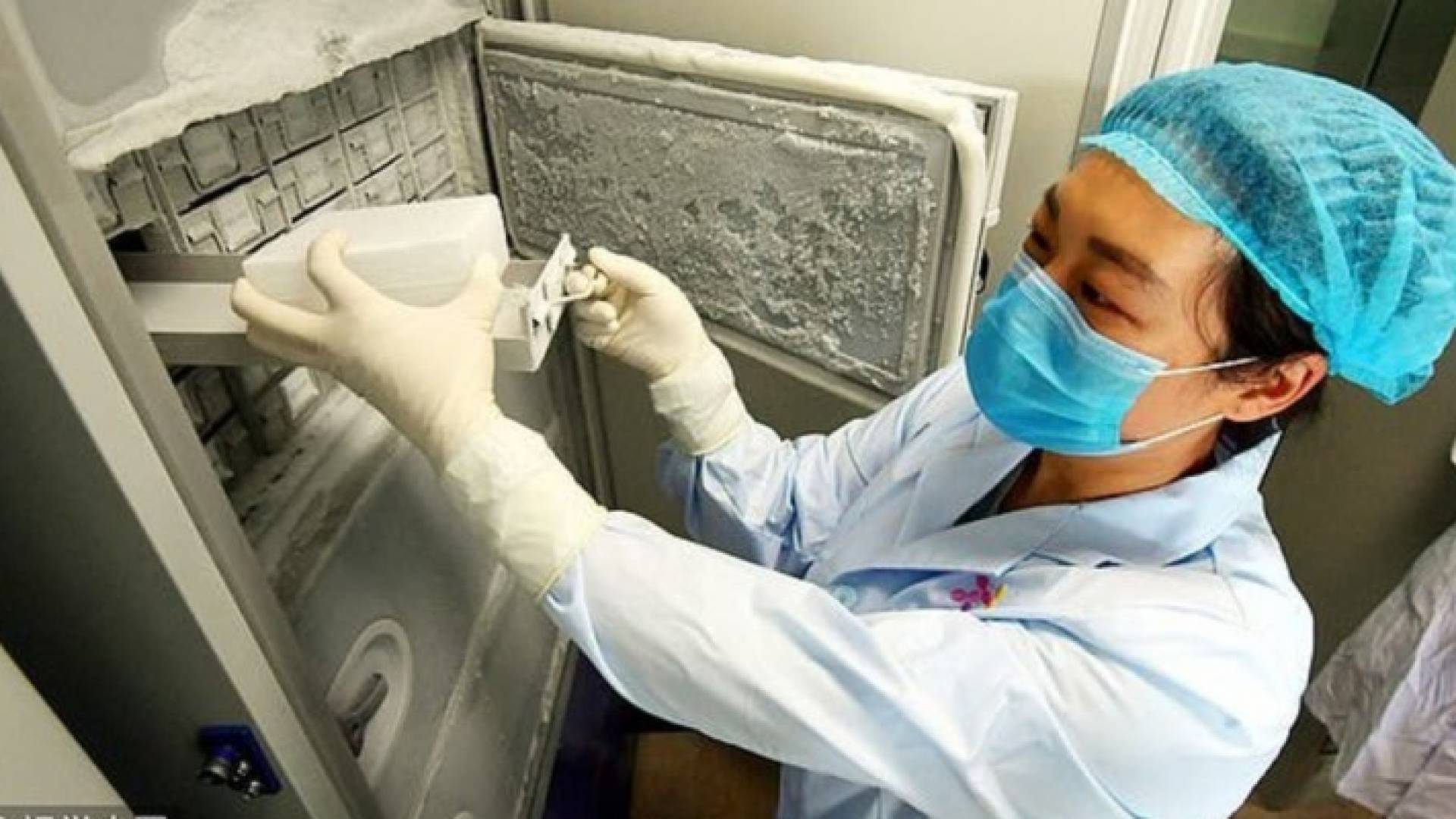 الصحة العالمية: منشأ كورونا طبيعي