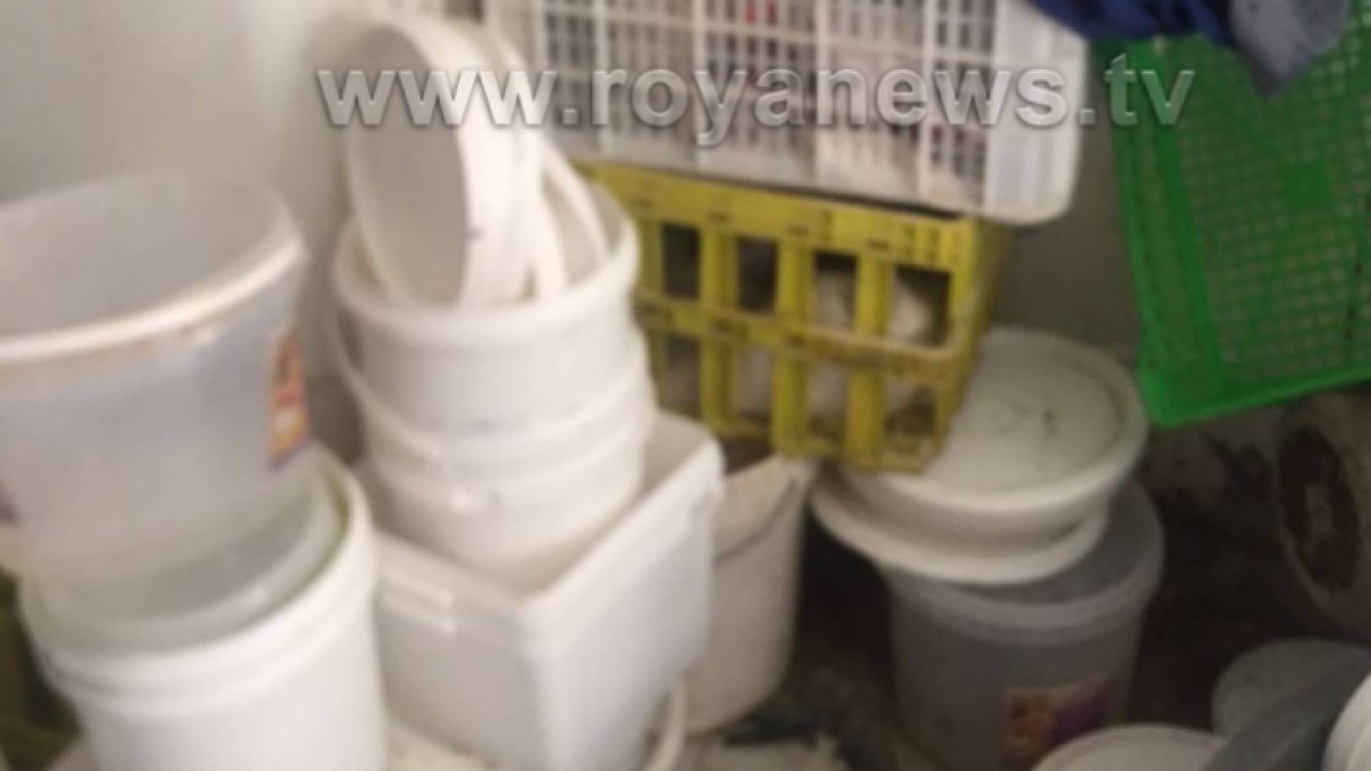 اتلاف البان - ارشيفية