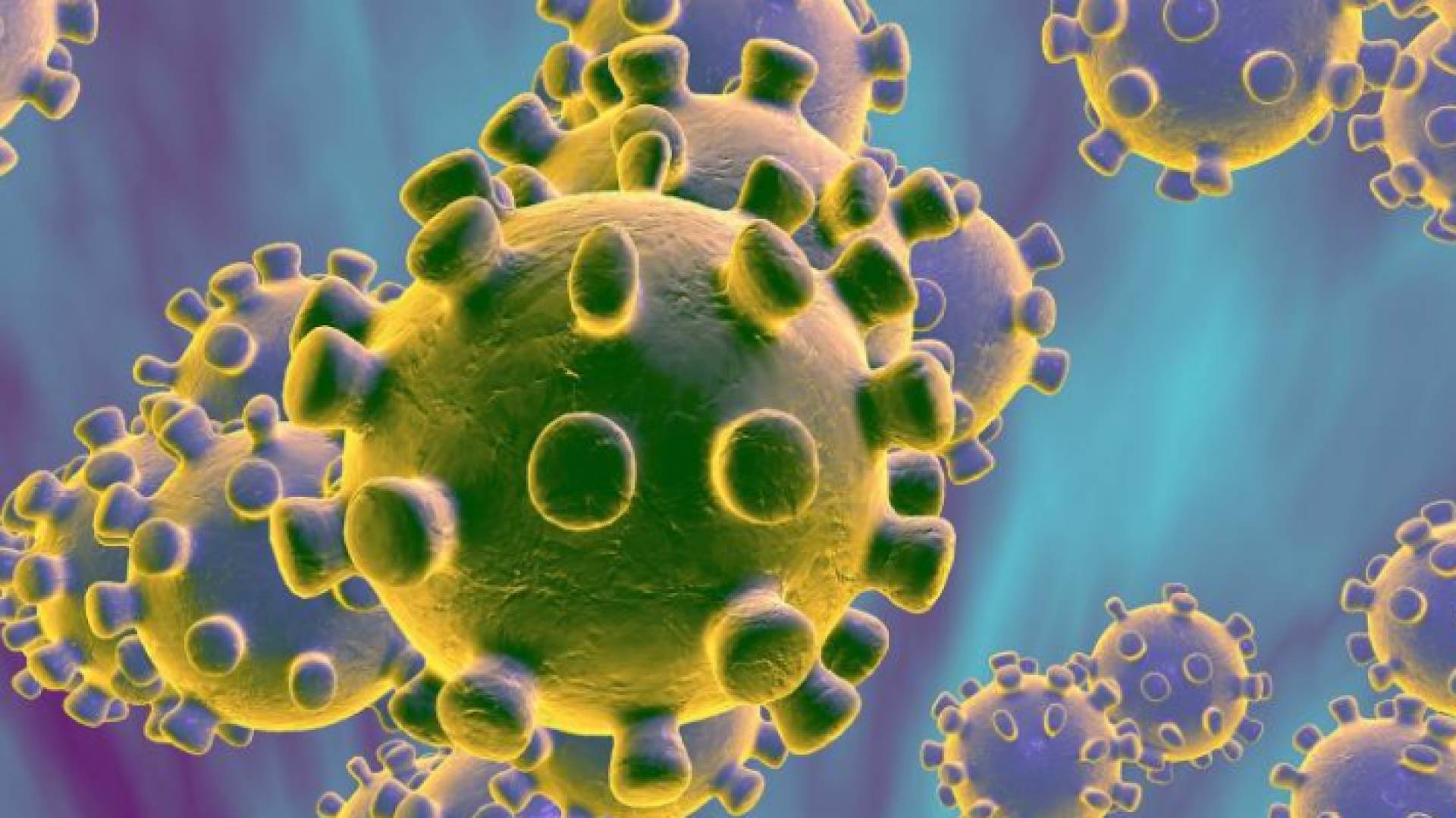 فيروس كورونا