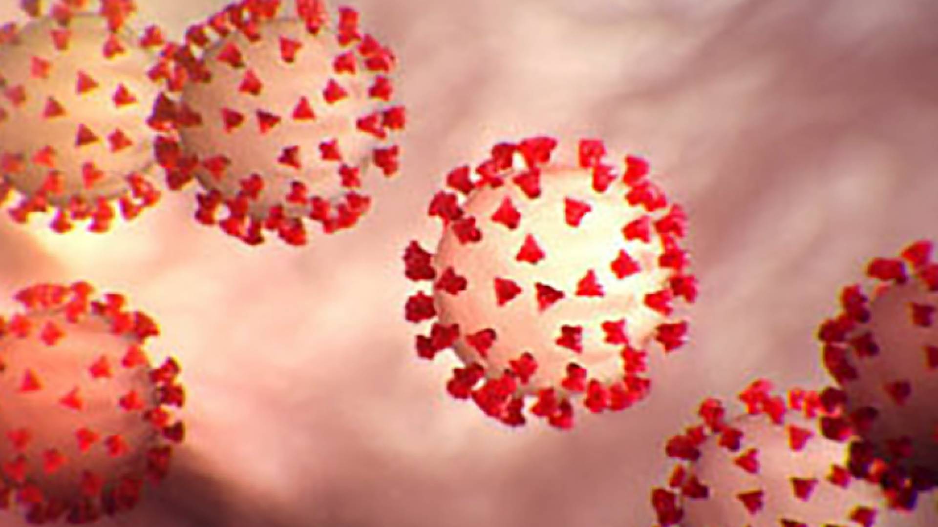 الفيروس القاتل لن يختفي