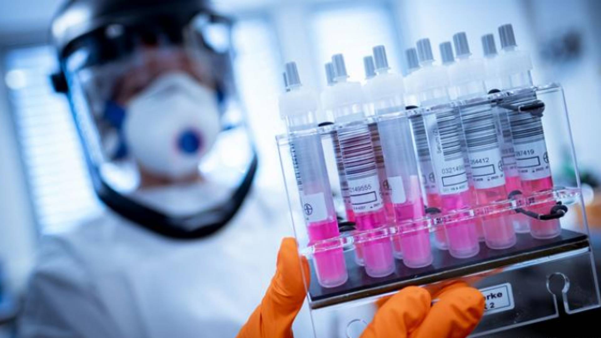 مأدبا: جميع نتائج العينات العشوائية للكشف عن كورونا سلبية