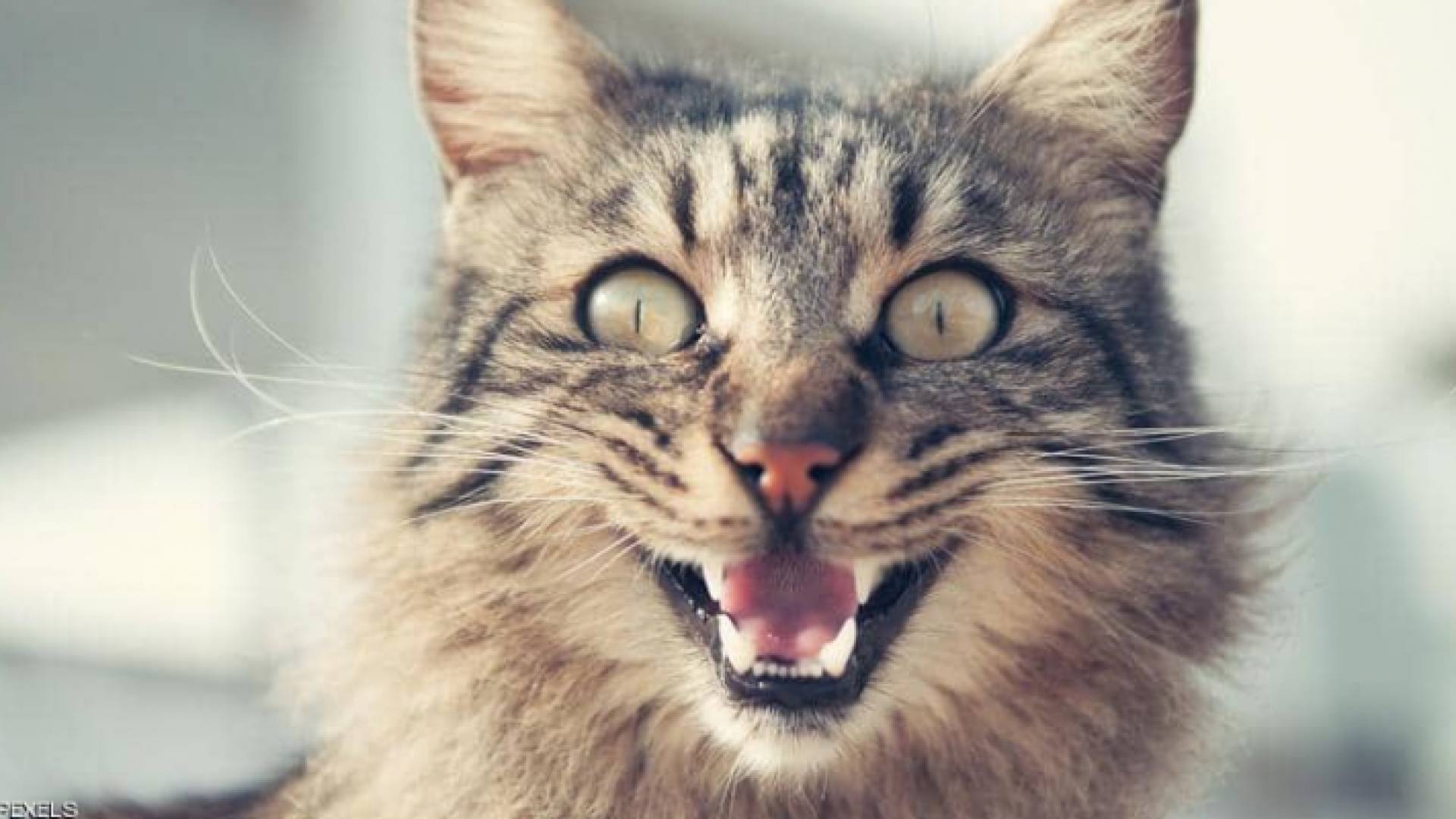 الصورة أرشيفية