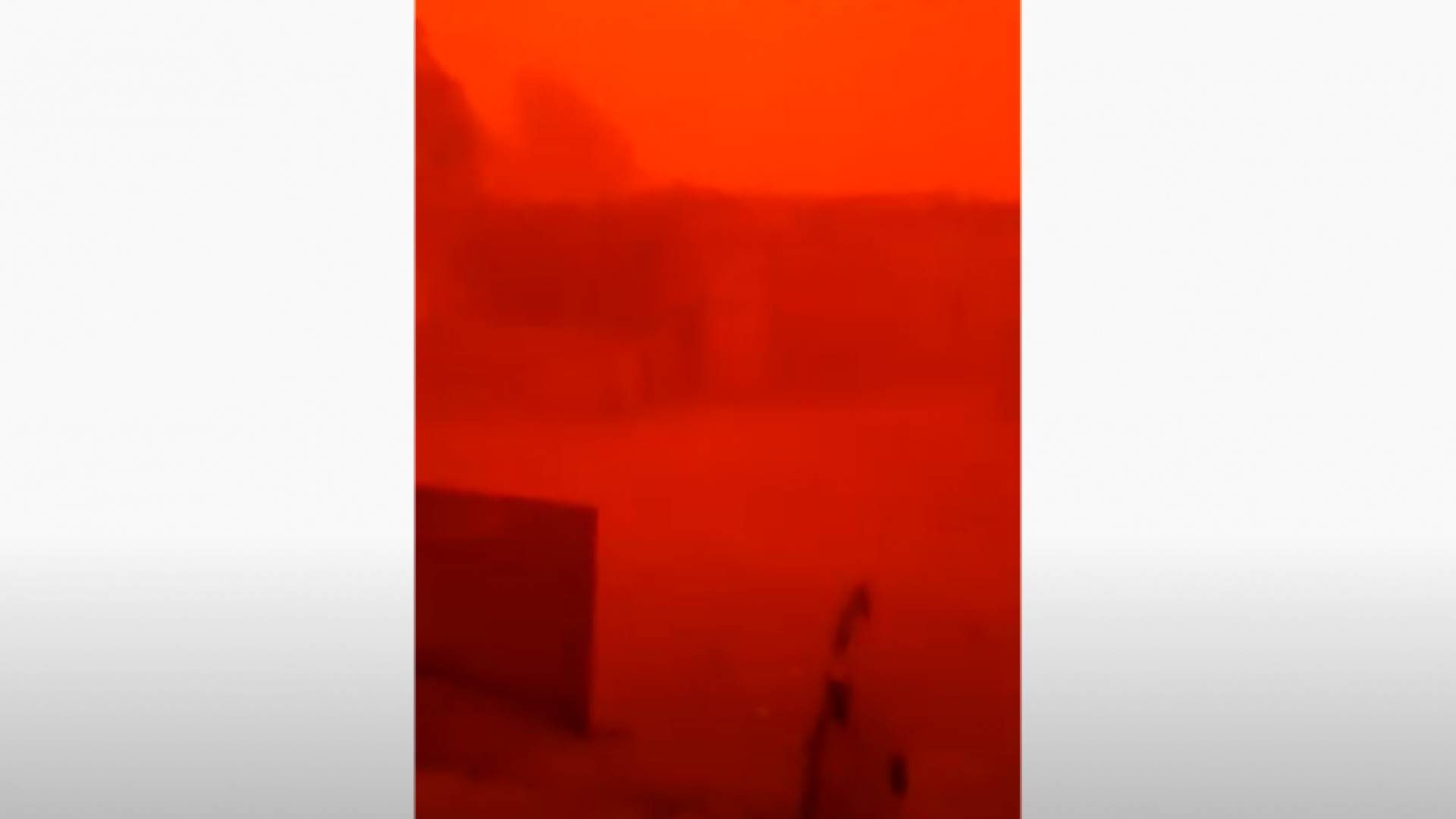 صورة من الفيديو