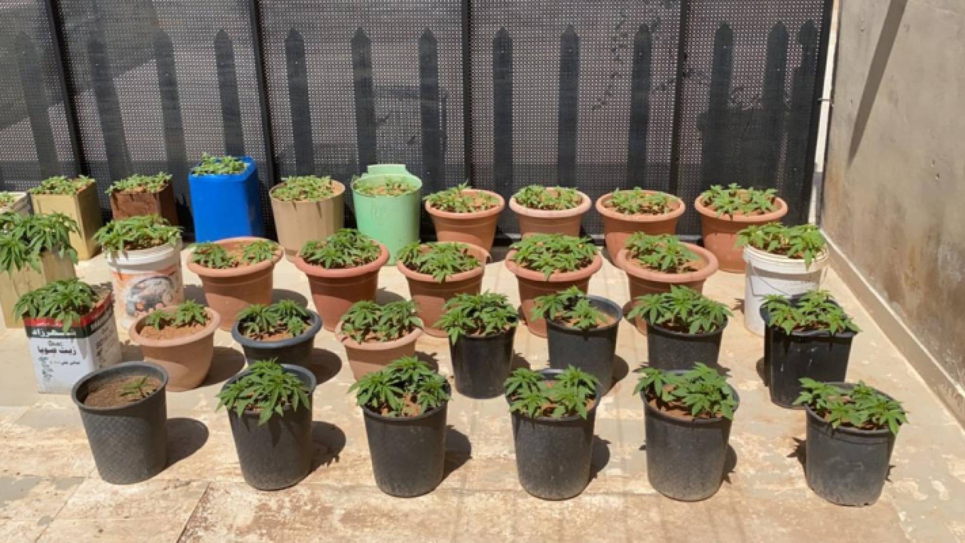 الصورة من المضبوطات