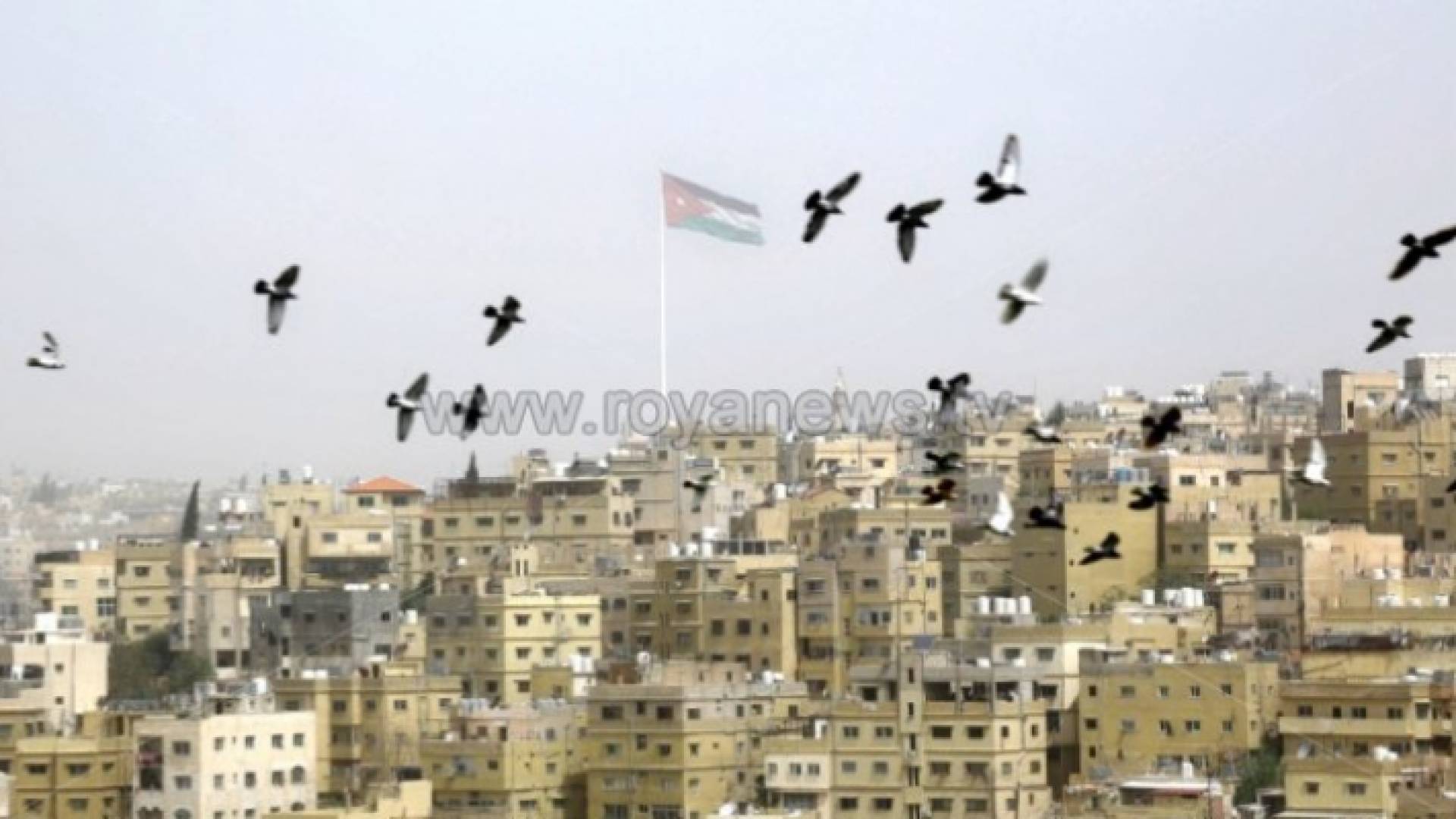 الأحد.. طقس ربيعي لطيف في أغلب المناطق