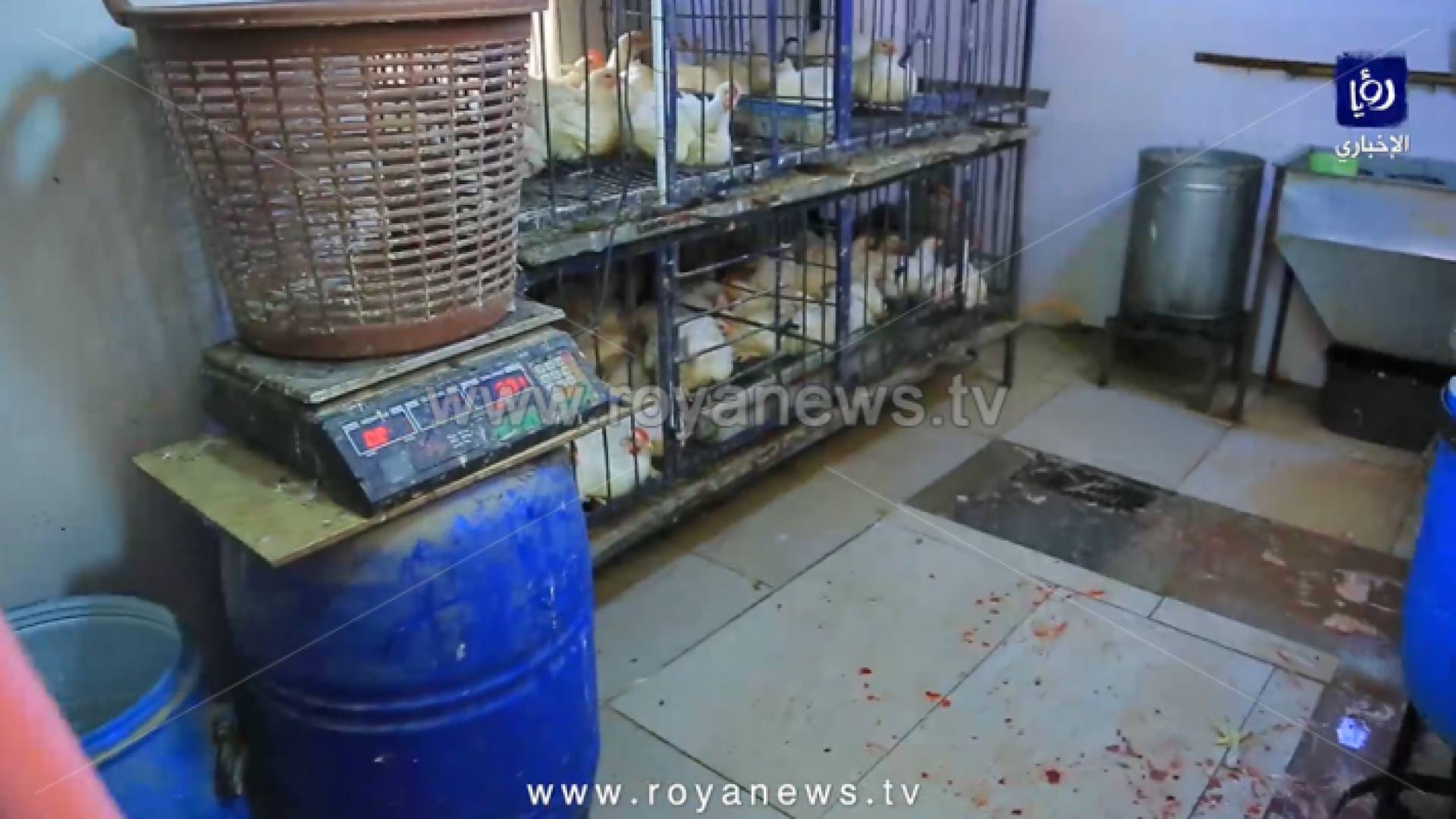 صورة من الفيديو