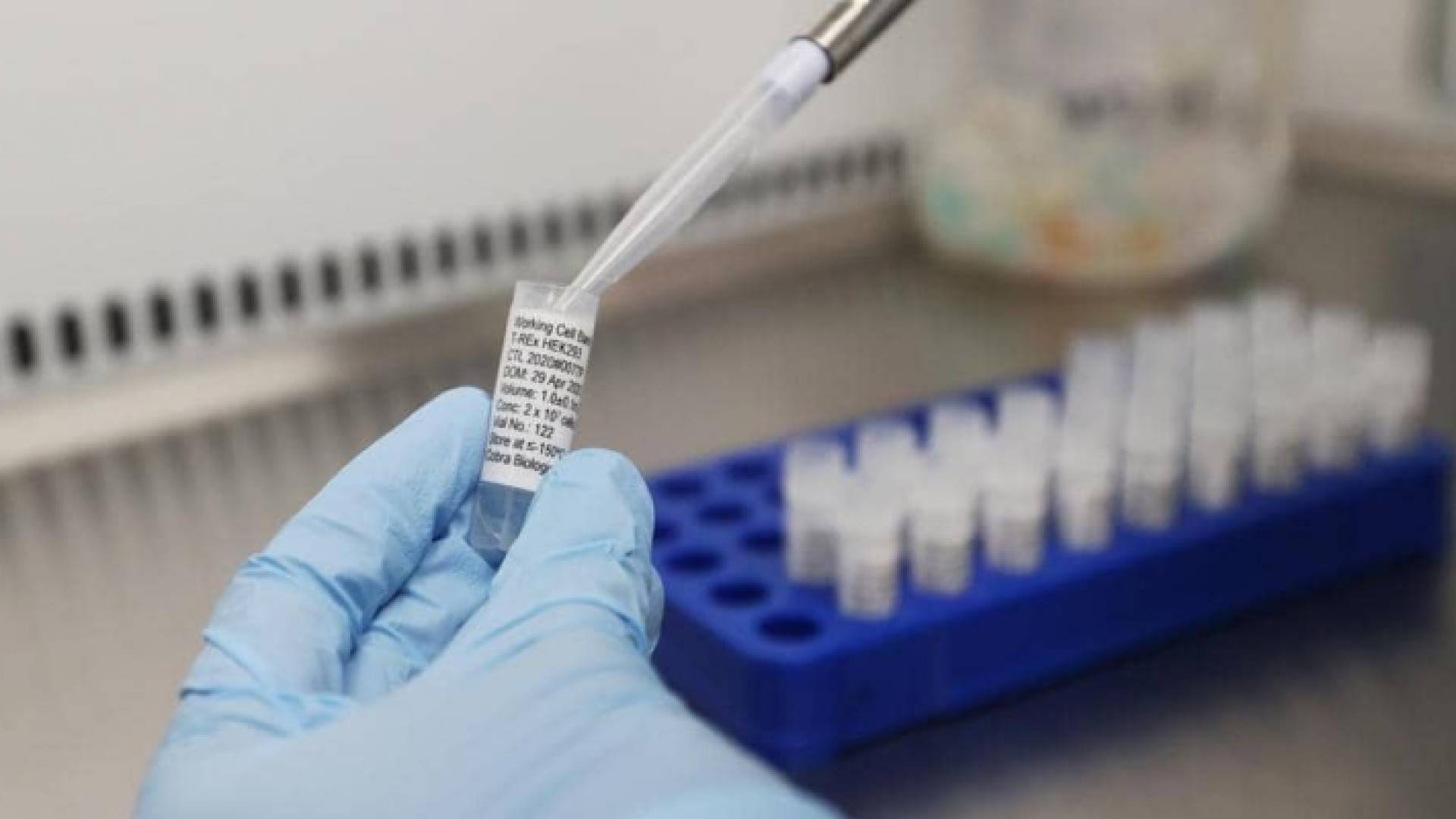 اللقاح المنتظر.. تفاصيل المرحلة الثانية من التجارب