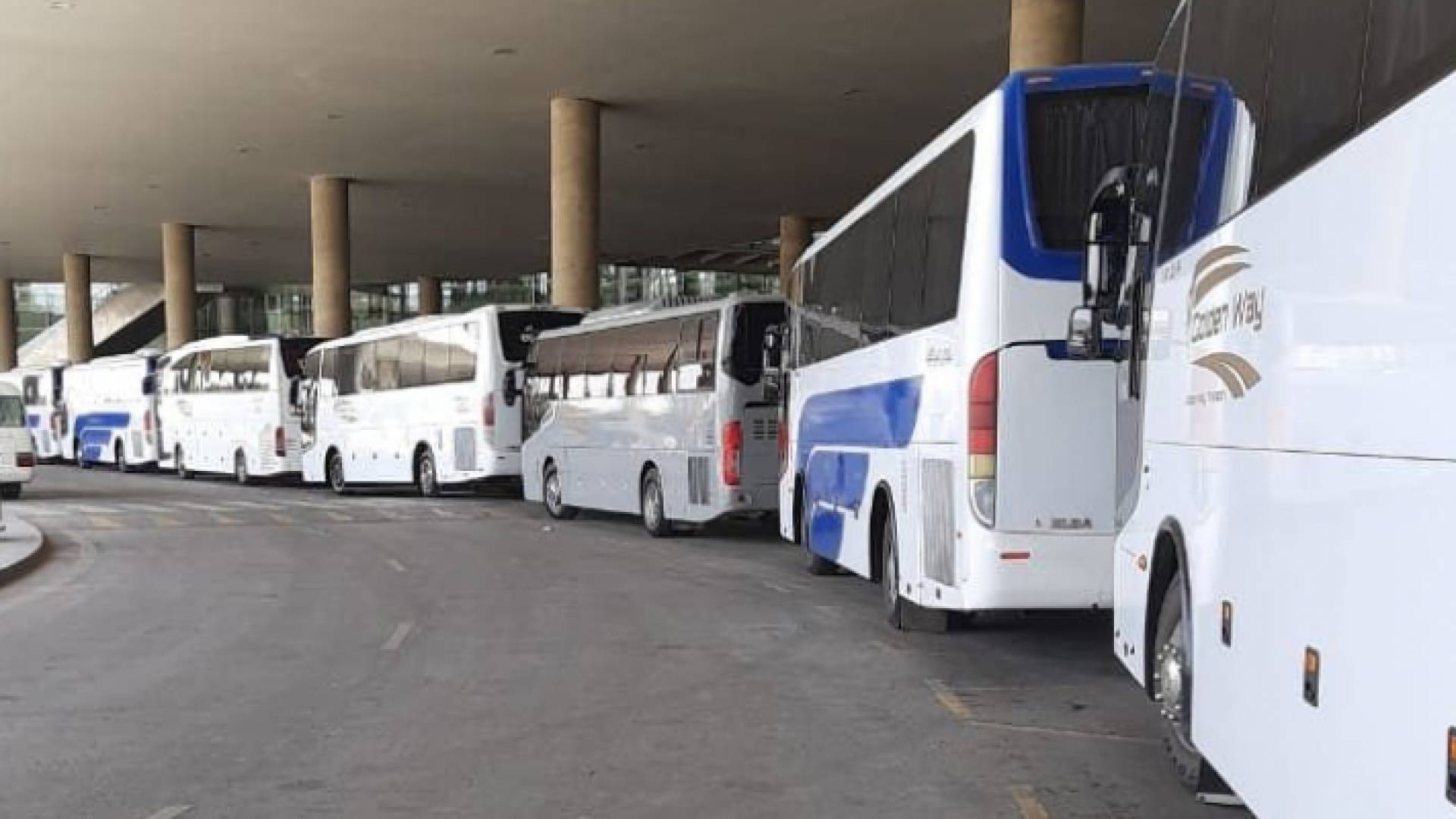 حافلات مخصصة لنقل الطلبة العائدين