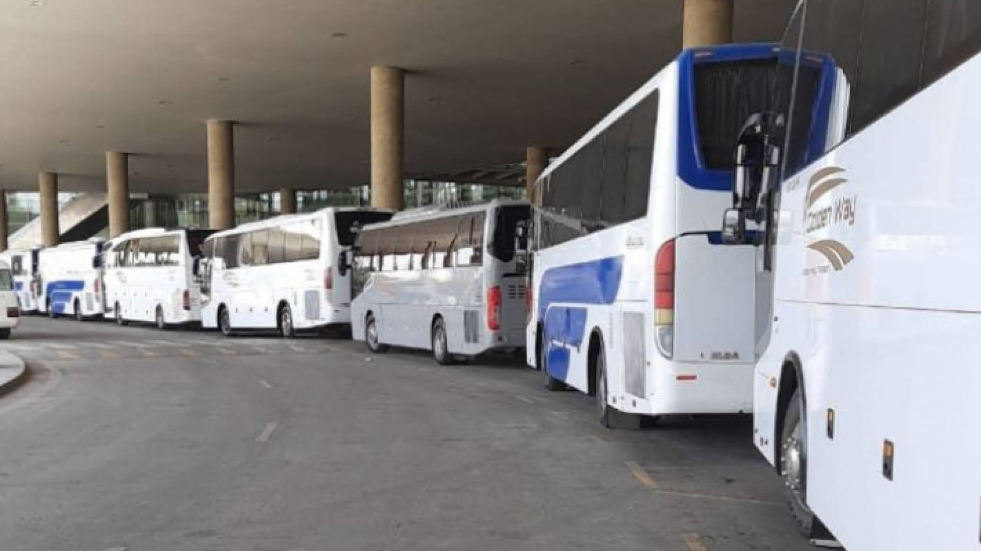 حافلات مخصصة لنقل الطلبة العائدين