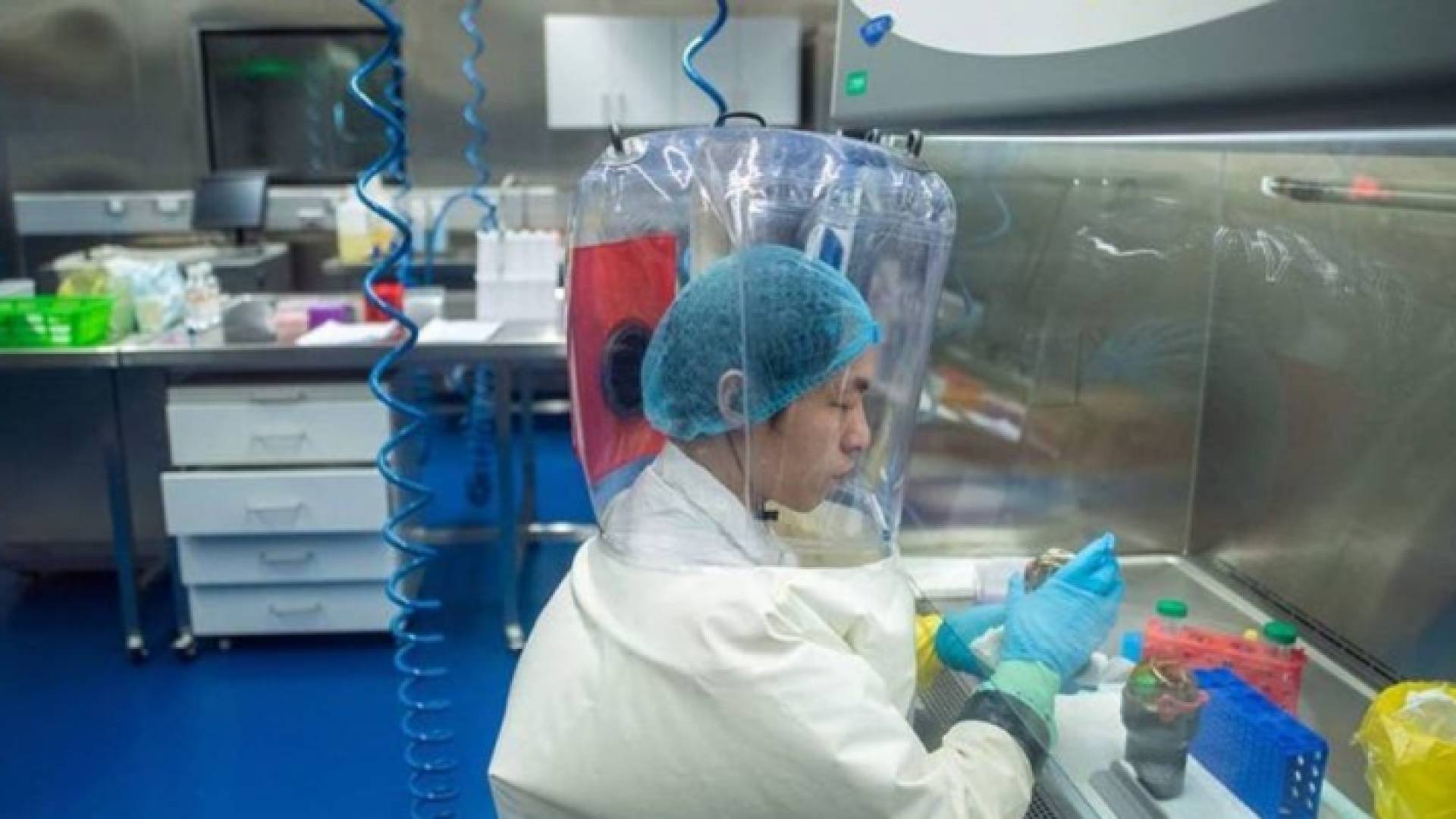 من داخل مختبر ووهان الصيني