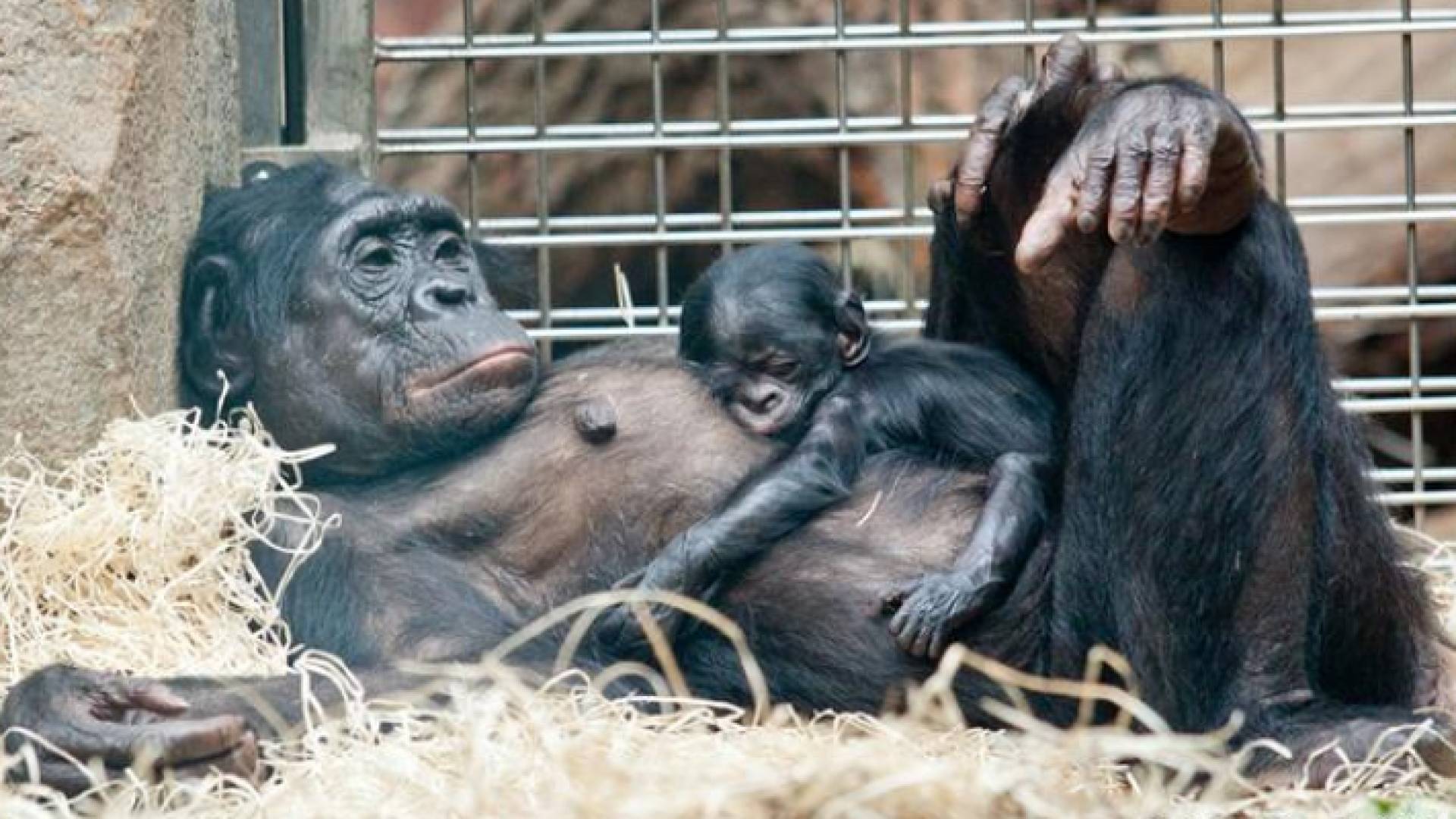 الصورة أرشيفية