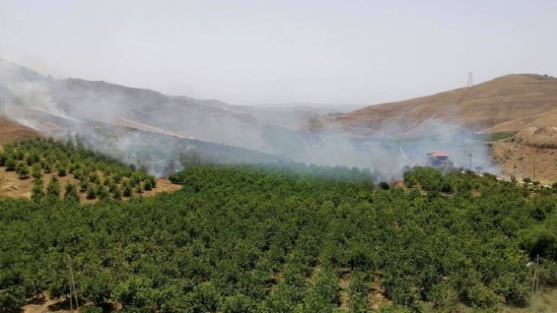 حرائق جرش - ارشيفية