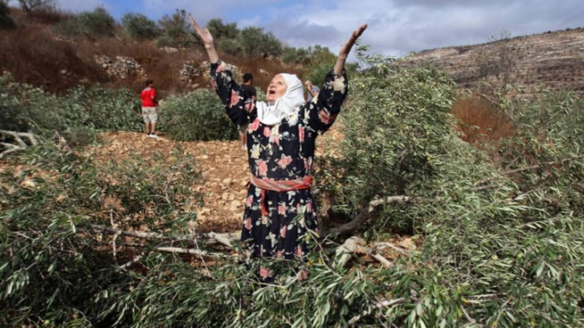 الصورة أرشيفية