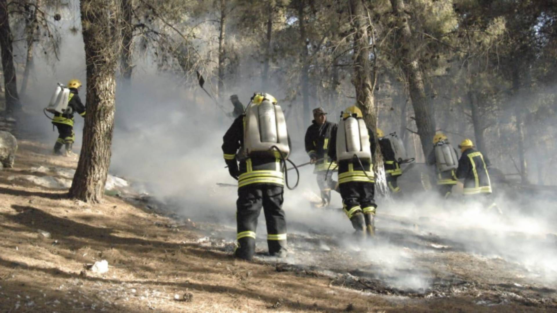 من حرائق الشمال