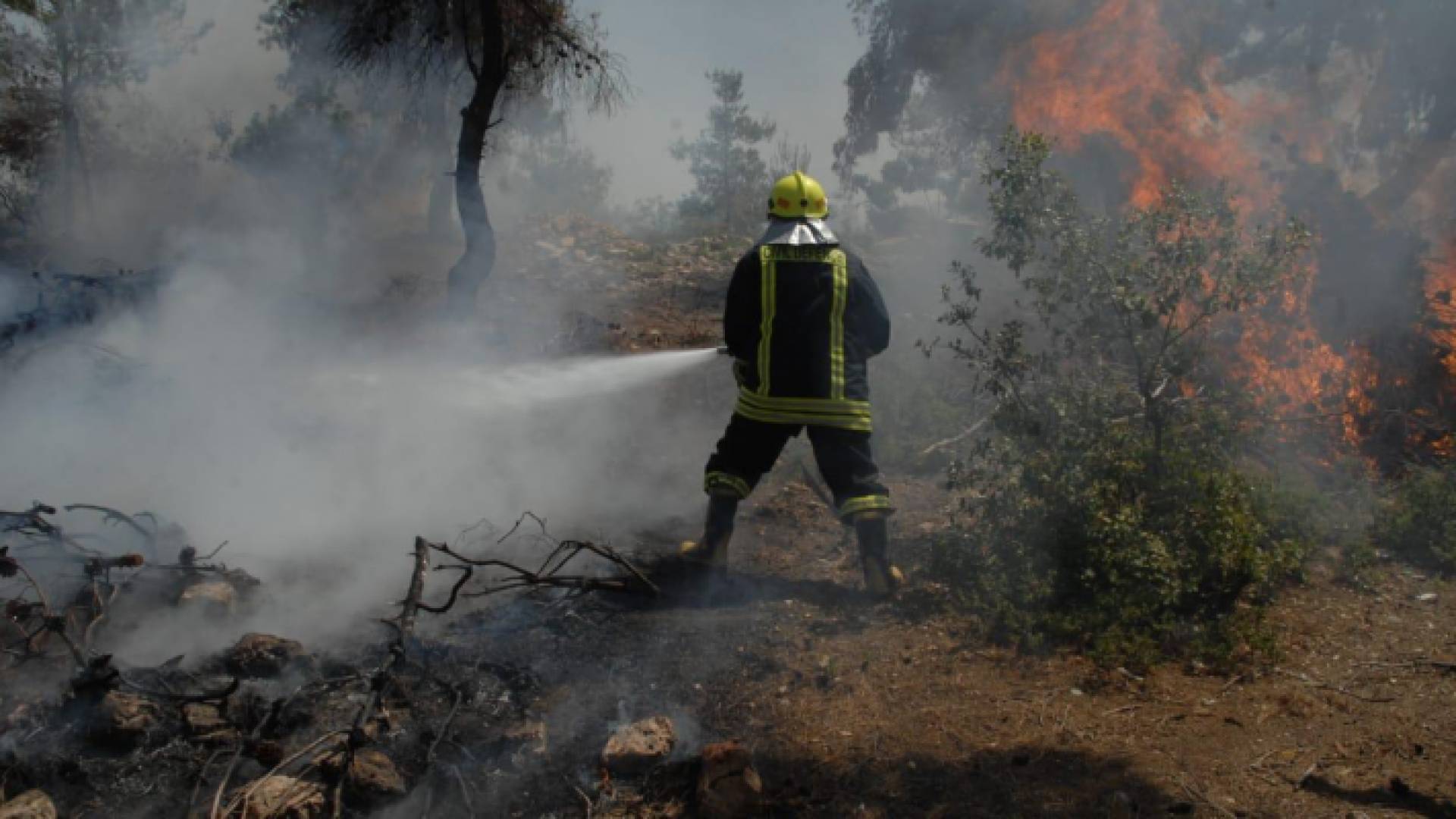 الدفاع المدني يتعامل 327 حريقا خلال الـ 24 ساعة الماضية