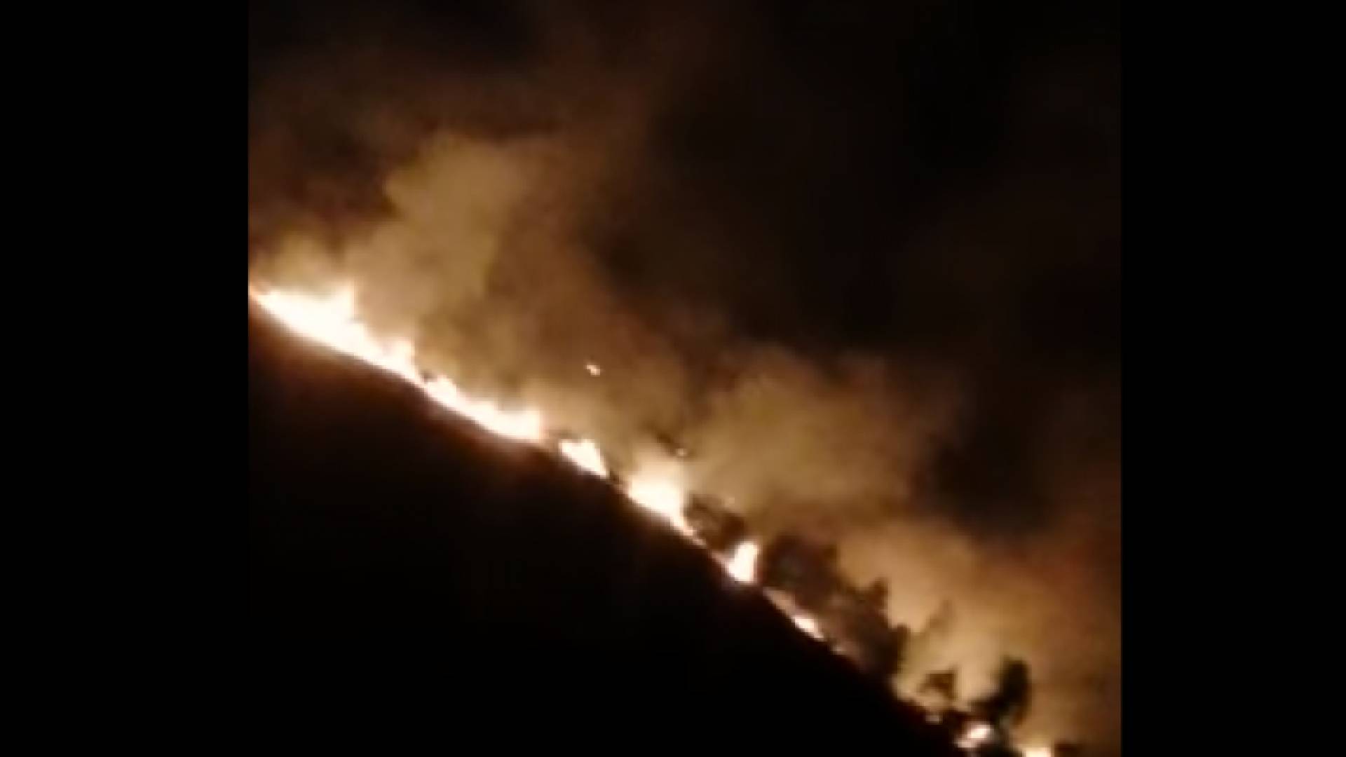 السيطرة على حريق غابة بالبلقاء