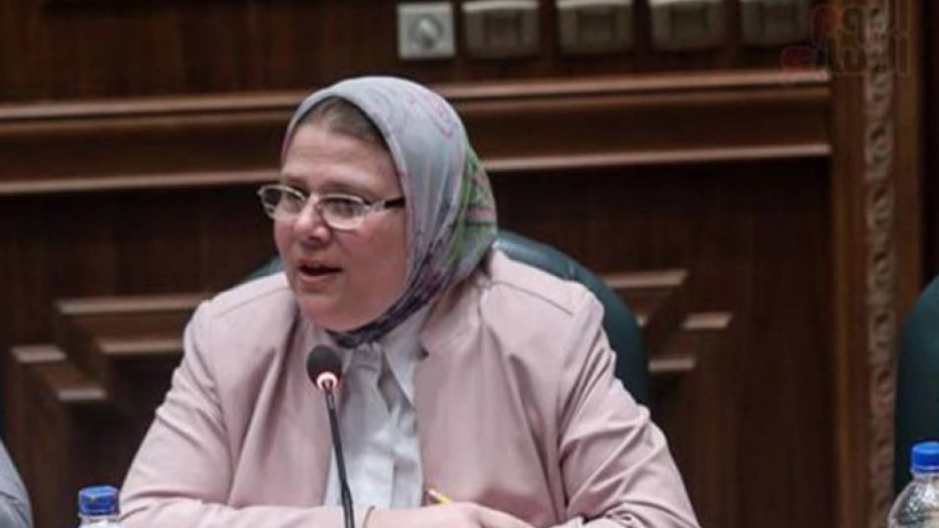 عضو مجلس النواب المصري شرين فراج