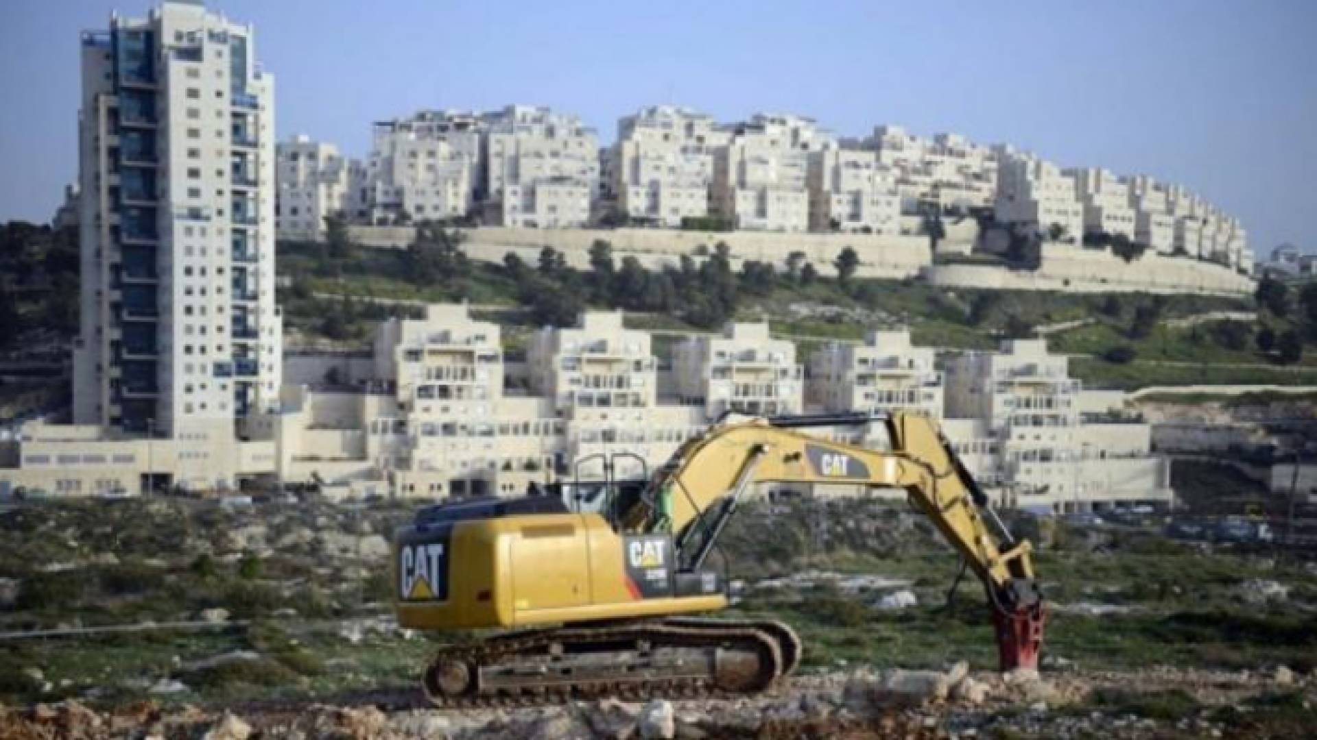 الصورة أرشيفية