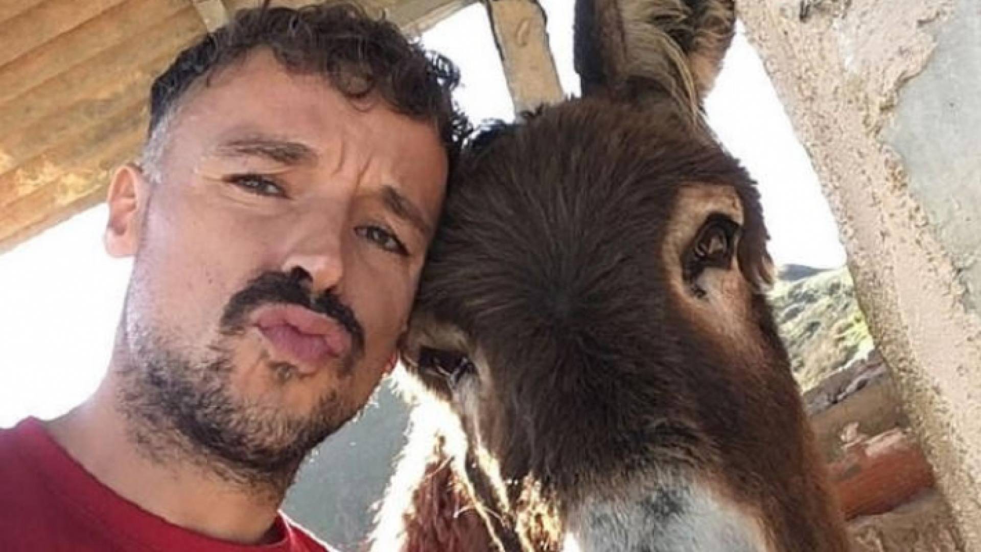 إسباني يلتقي حماره لأول مرة بعد الحجر الصحي