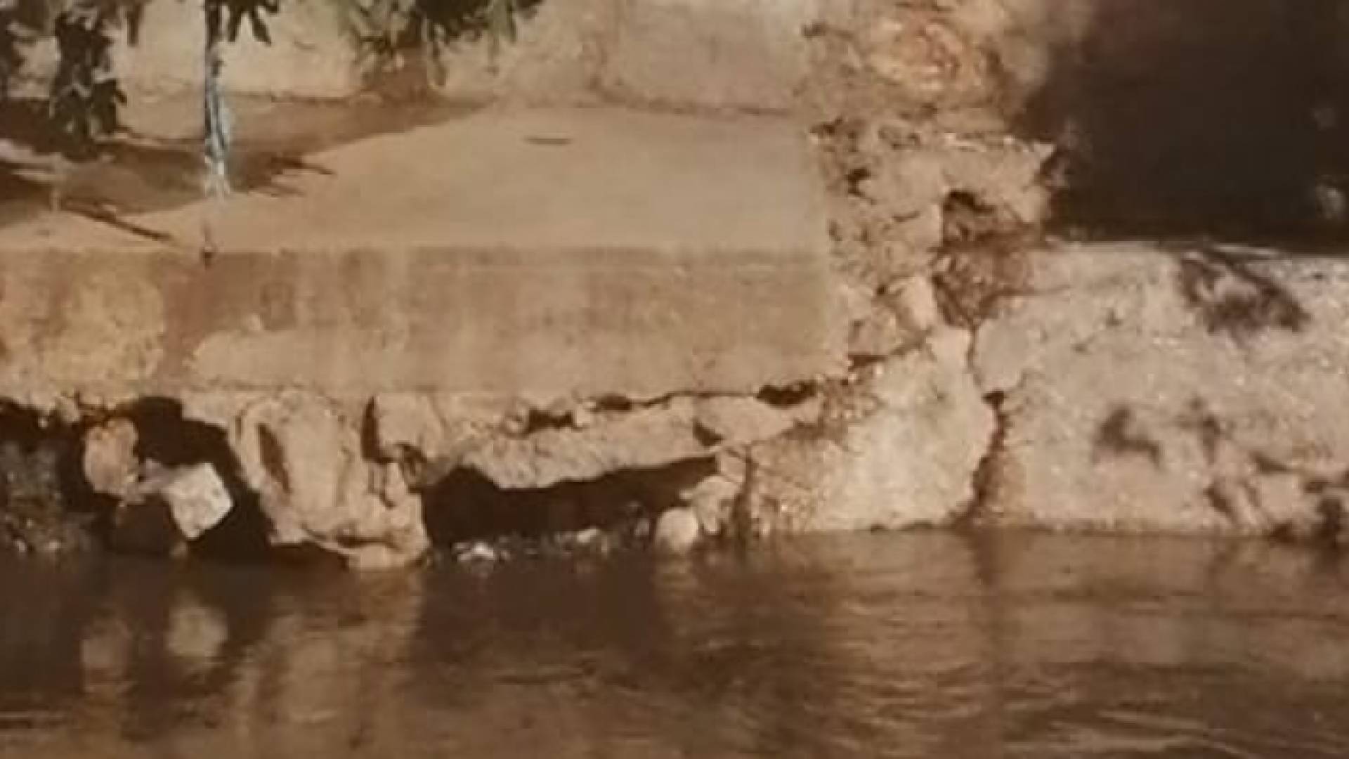 محطة السمرا تنفي تحويل مياه الصرف الصحي الى سيل الزرقاء