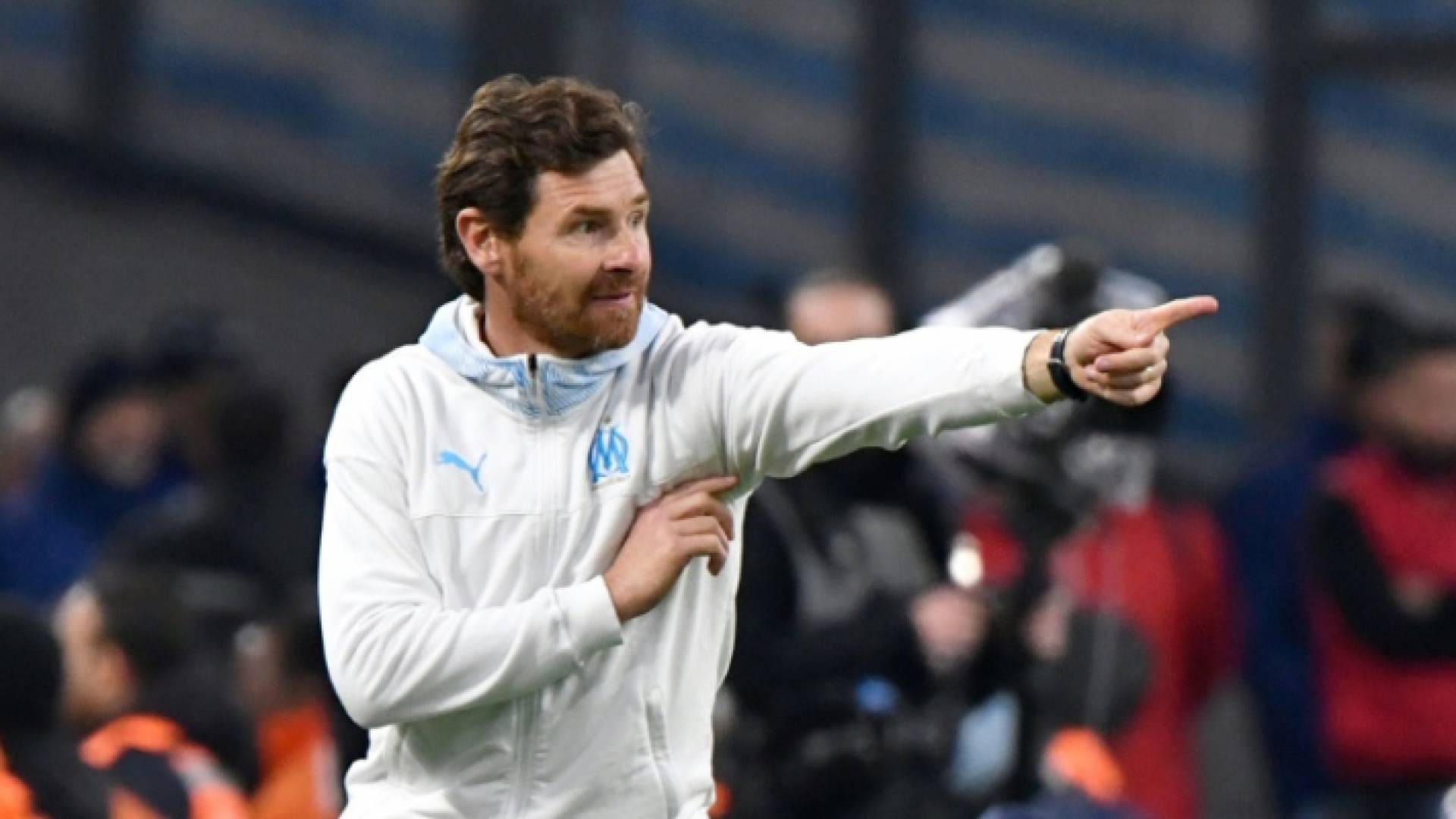 المدرب البرتغالي أندريه فياش-بواش