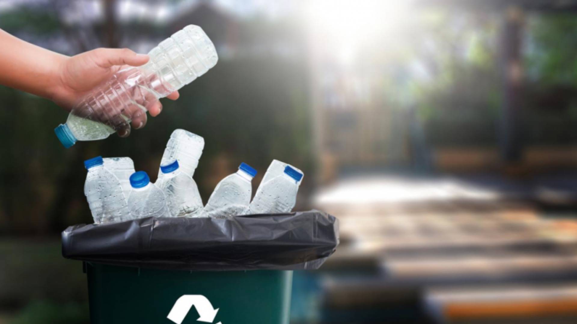 رمي النفايات