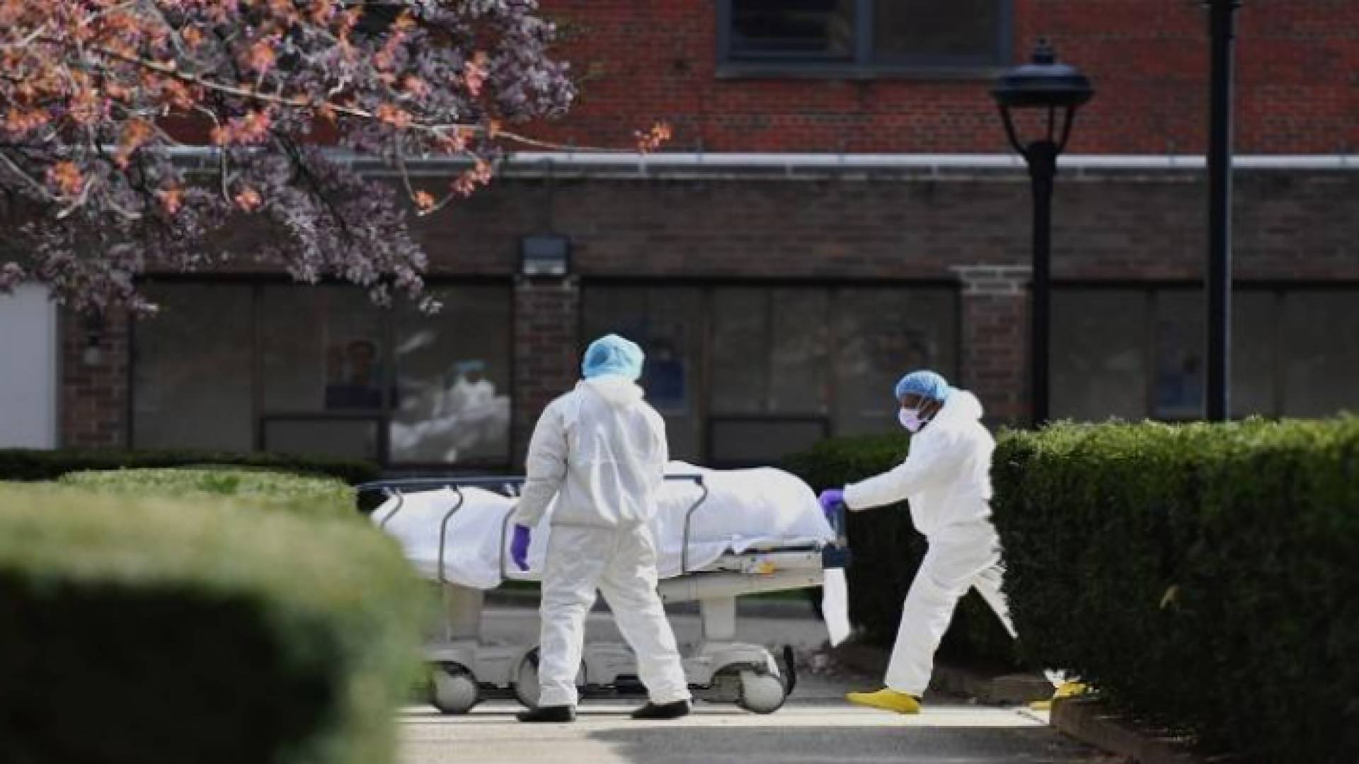 يرتفع العدد الإجمالي للوفيات في البلاد جراء الفيروس إلى 102,798