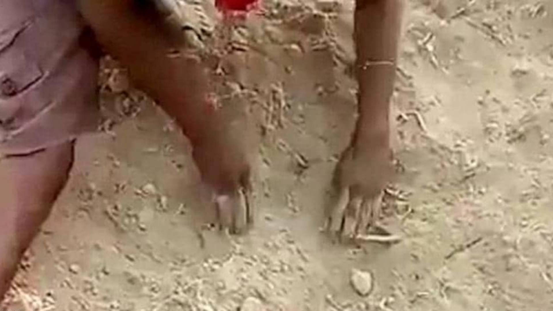 الحادثة أثارت ذهولا وسط الأهالي