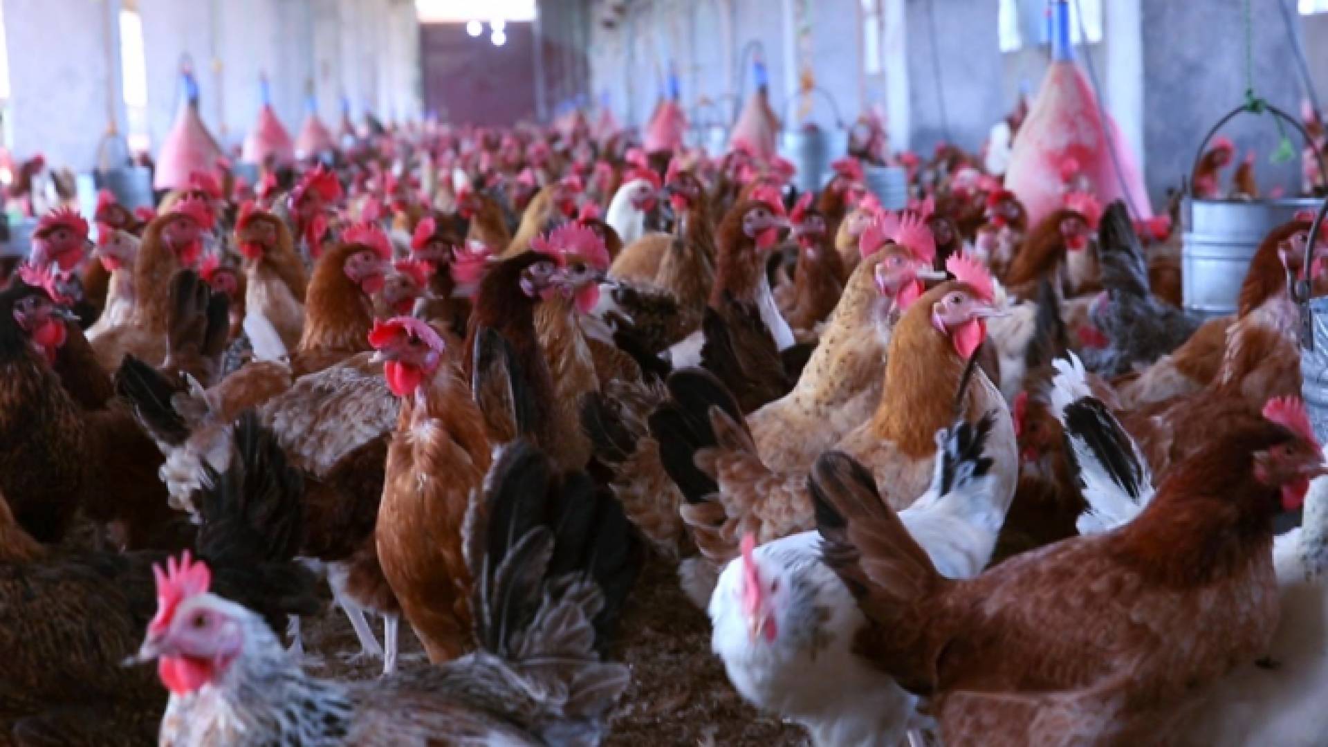 الصورة أرشيفية