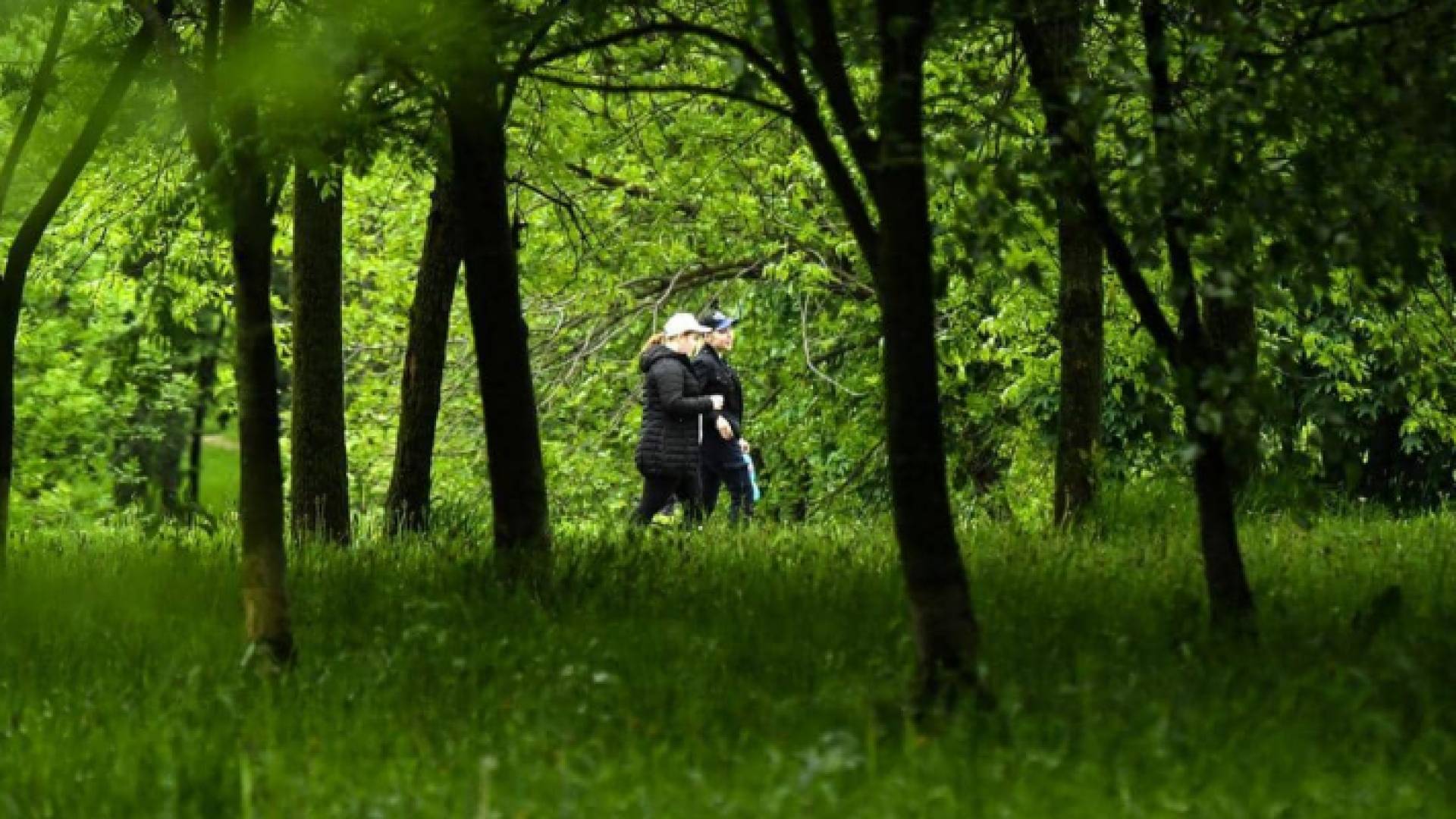 حدائق روسيا