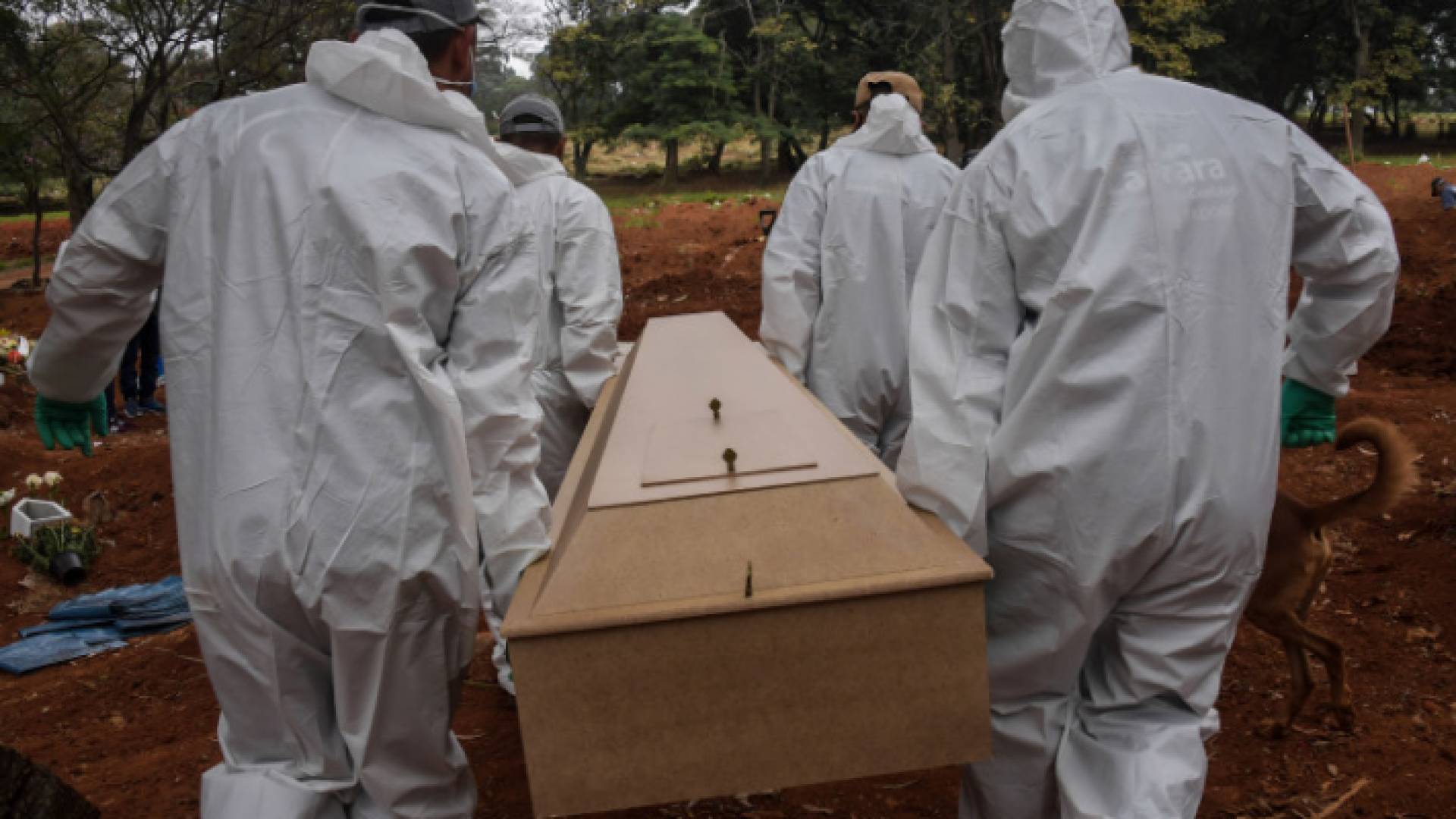 وفيات كورونا حول العالم تتجاوز 375 ألفا