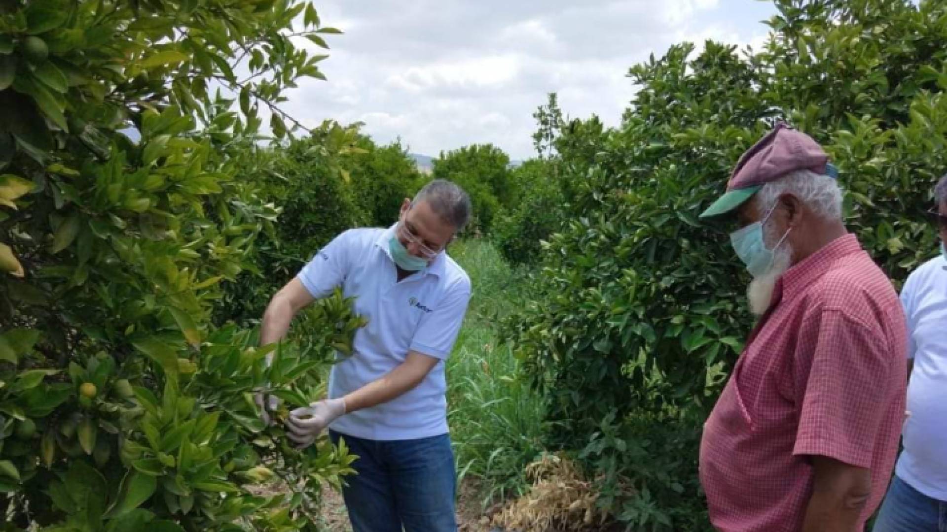 من الاغوار الشمالية