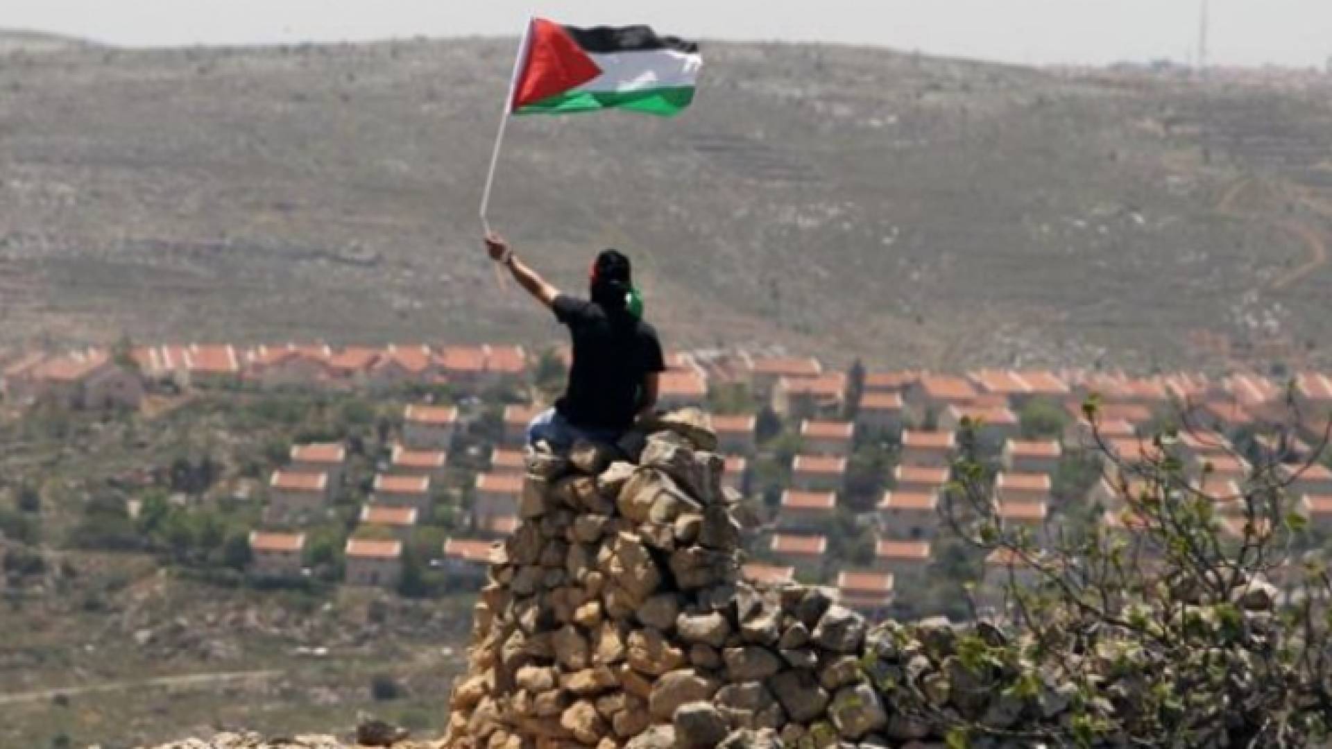 "التعاون الإسلامي" تحذر من ضم تل ابيب أي جزء من أراضي الضفة