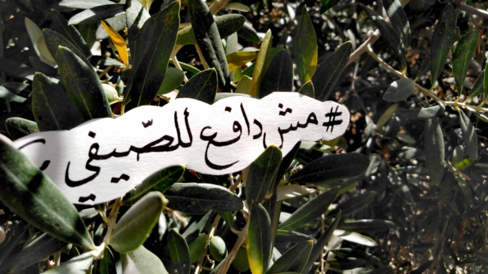 طلبة الجامعة الأردنية يطلقون حملة "مش دافع صيفي"