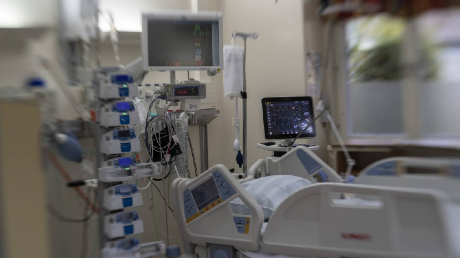 العناية الحثيثة