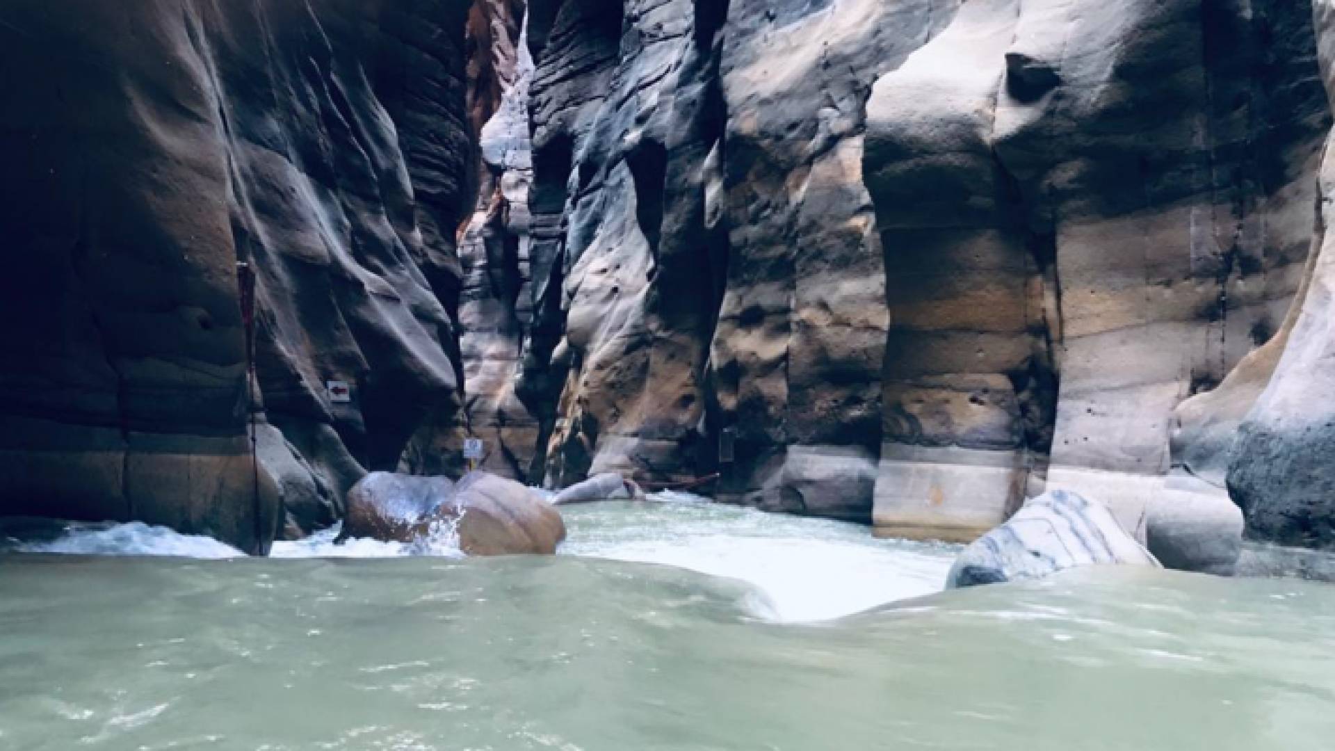 تشمل خصومات وأسعار مناسبة للجميع