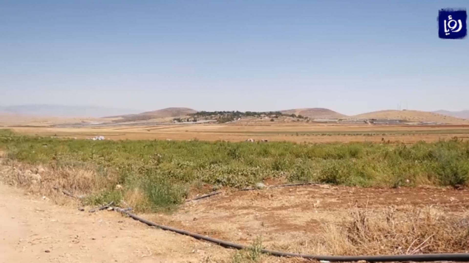 صورة من الفيديو